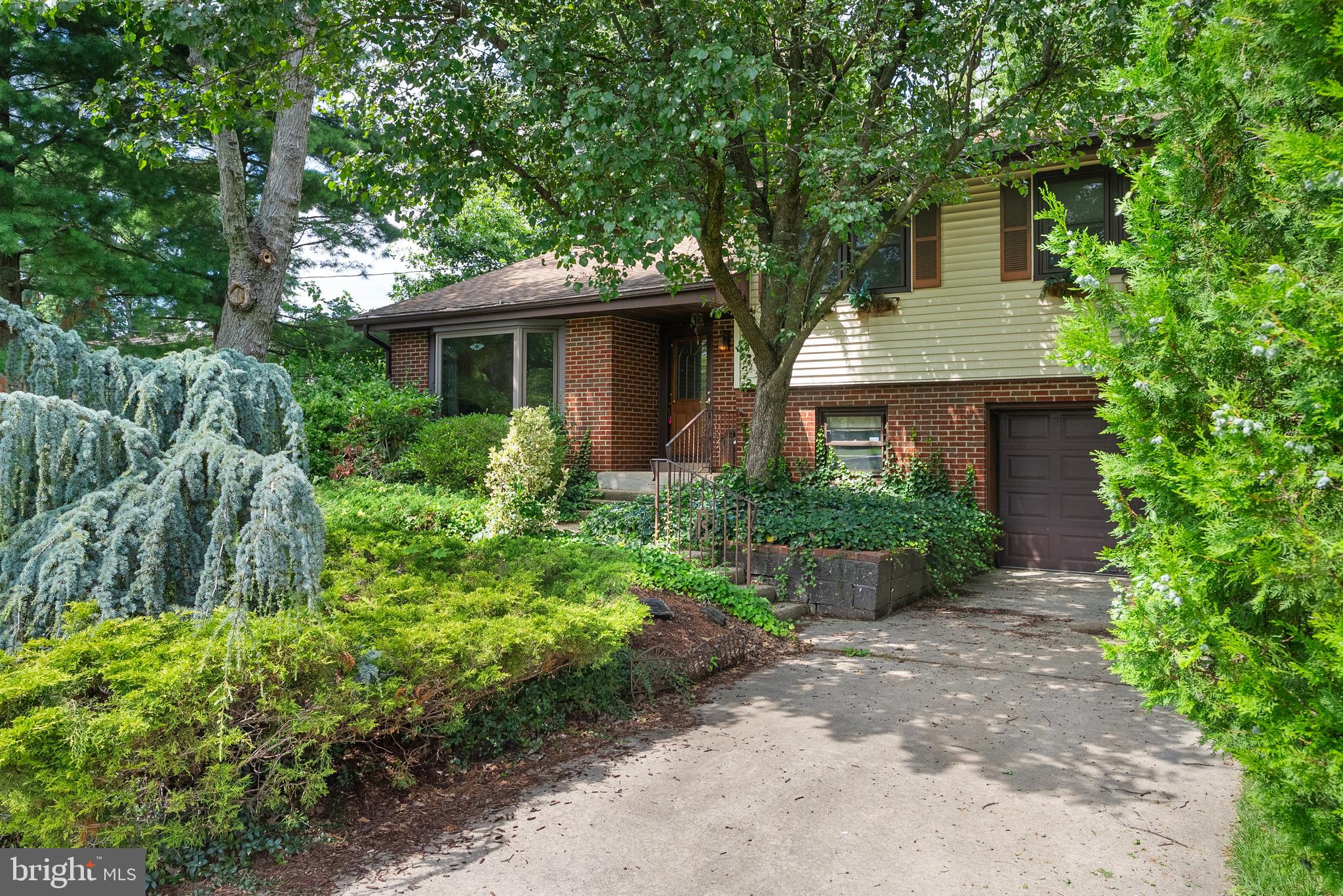 225 CAMBRIDGE ROAD