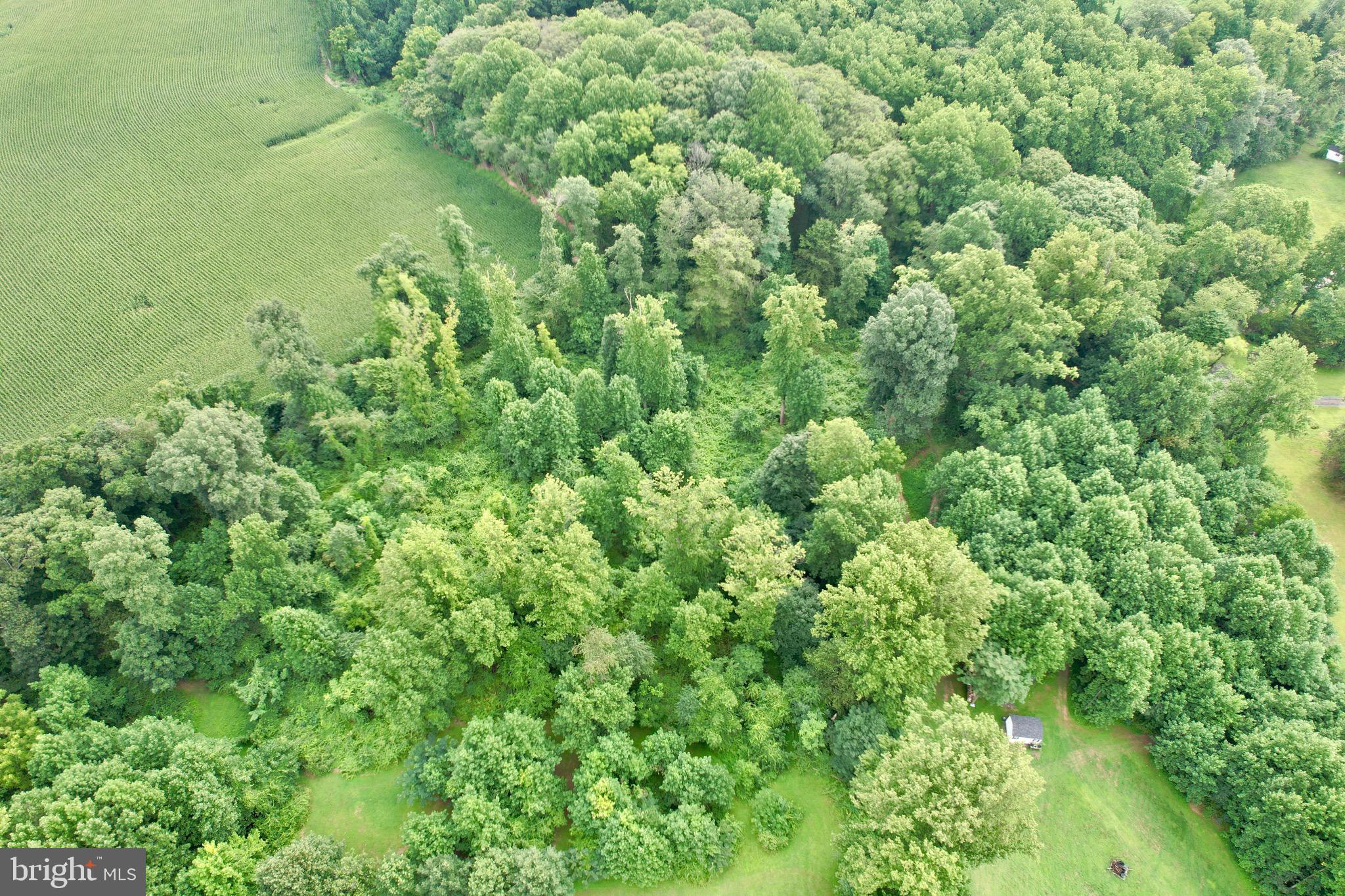 2229 ADY ROAD A