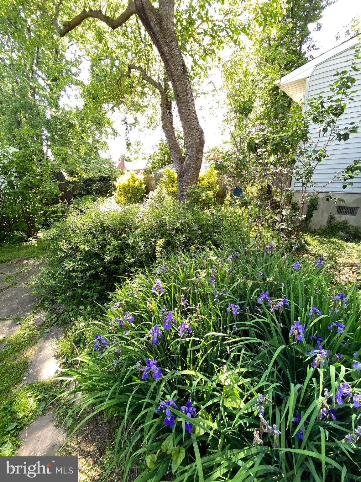 CAPITOL VIEW - Residential