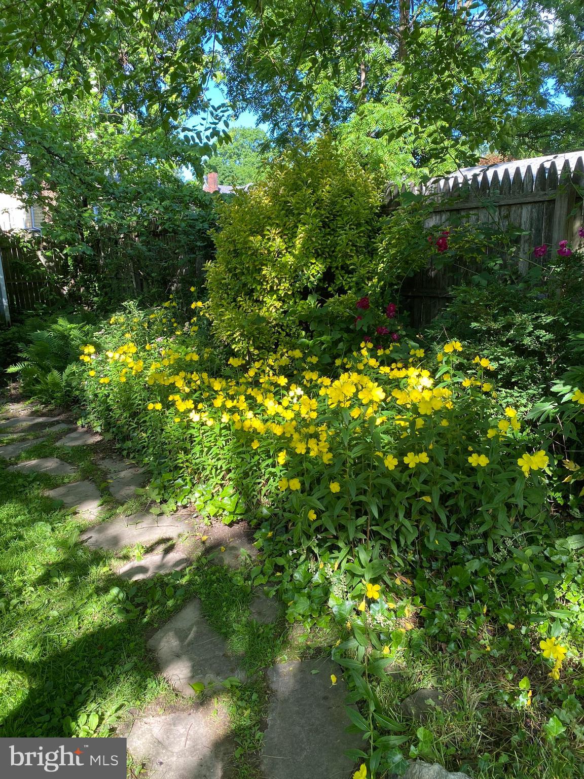 CAPITOL VIEW - Residential