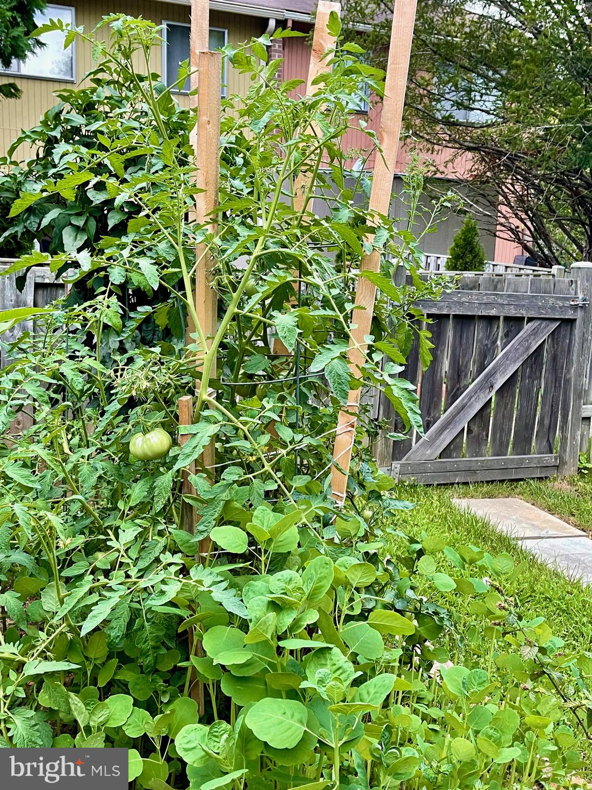 MARYLAND PLACE - Residential