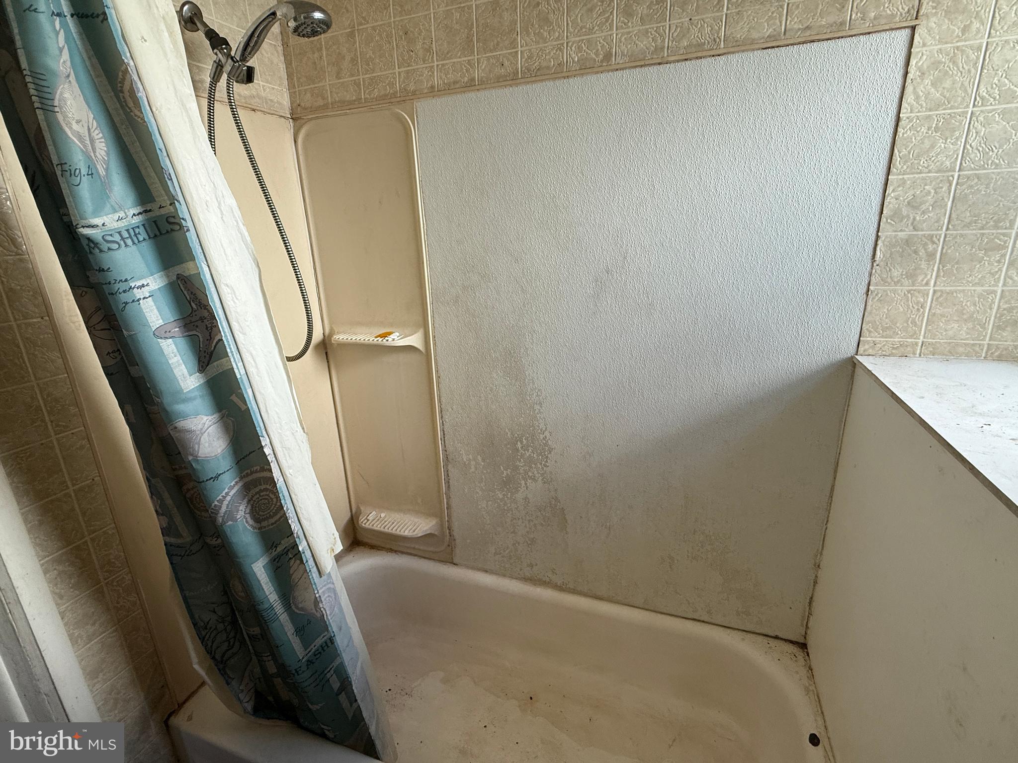 CHESTER CITY - Residential