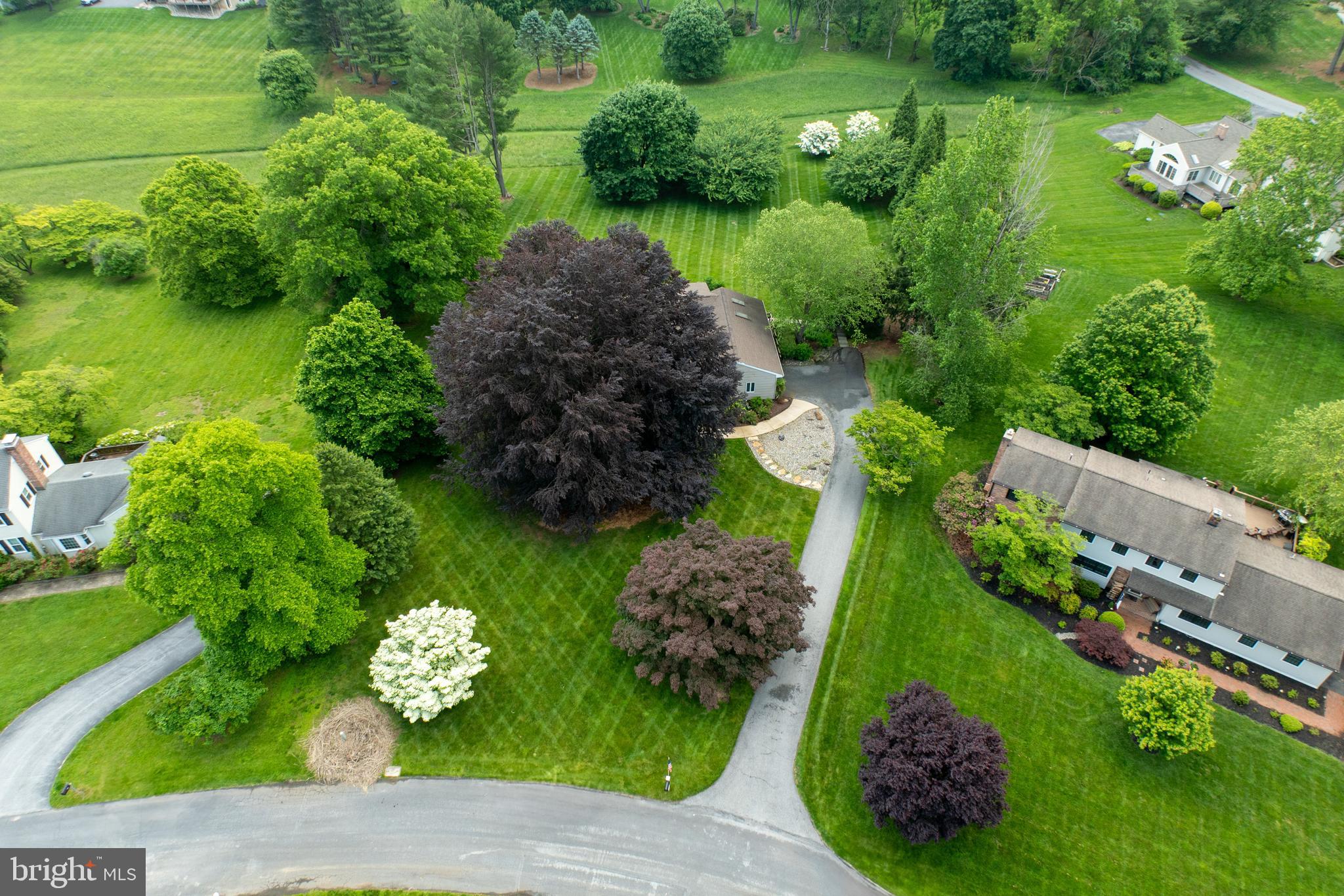 1004 GENERAL STEVENS DRIVE