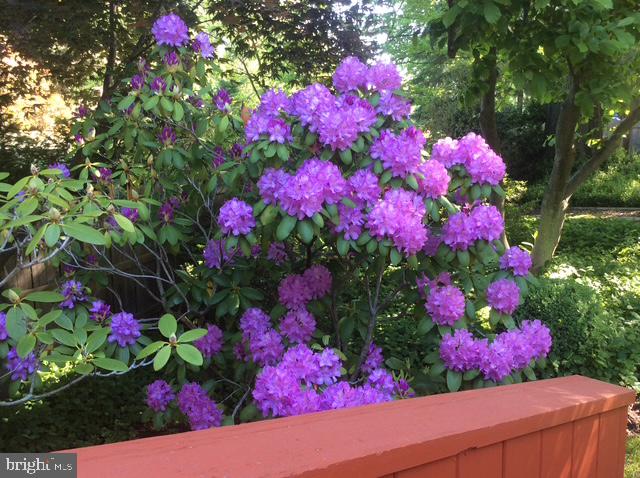 BROOKEVILLE KNOLLS - Residential