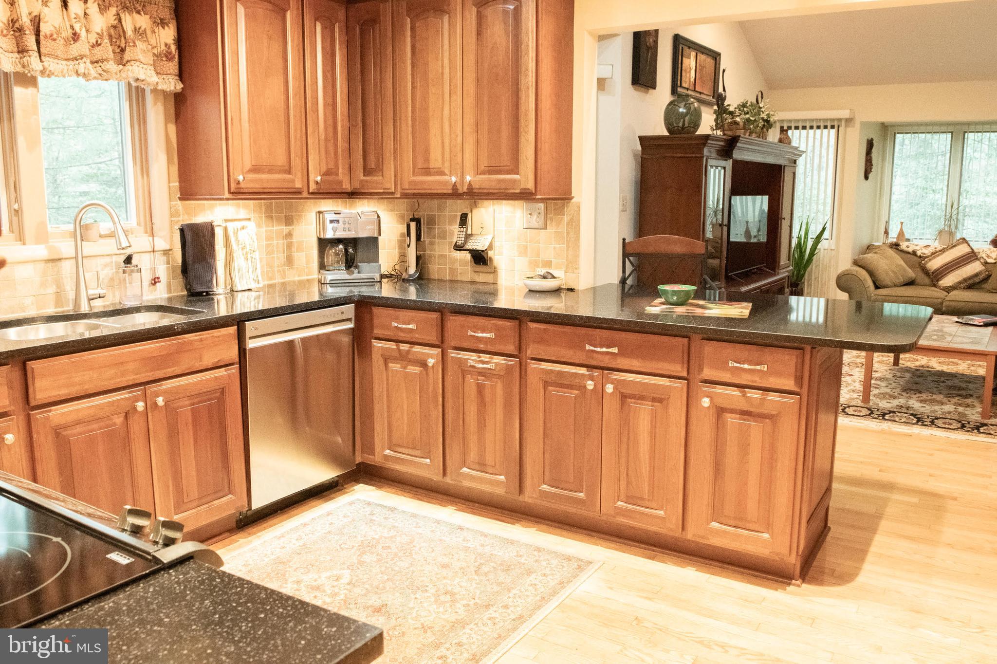 11291 SPYGLASS COVE LANE