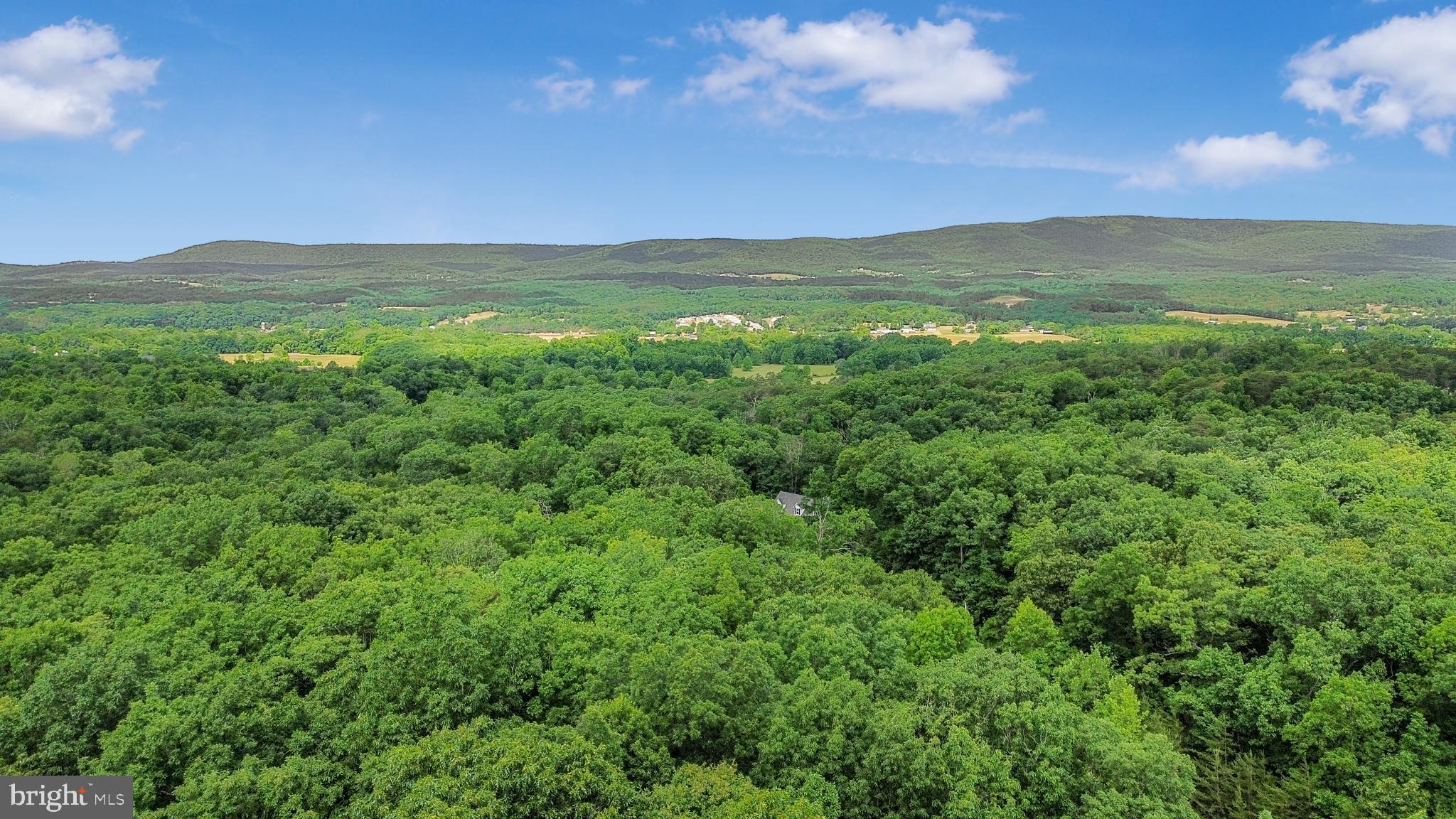 FOXWOOD KNOLLS - Residential