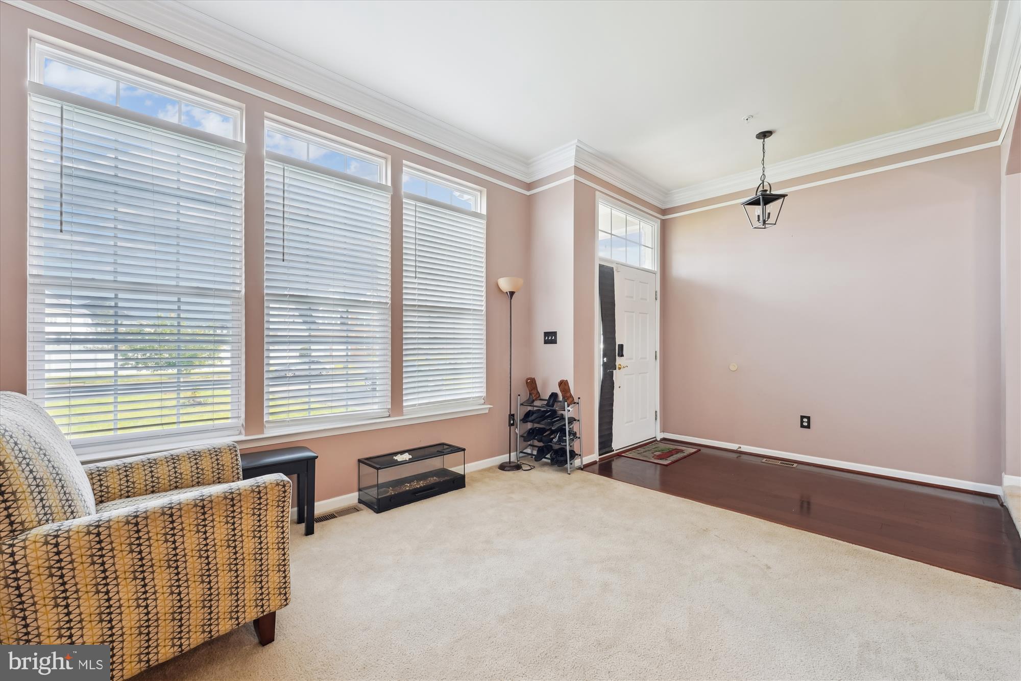 LAKEVIEW AT BRANDYWINE - Residential