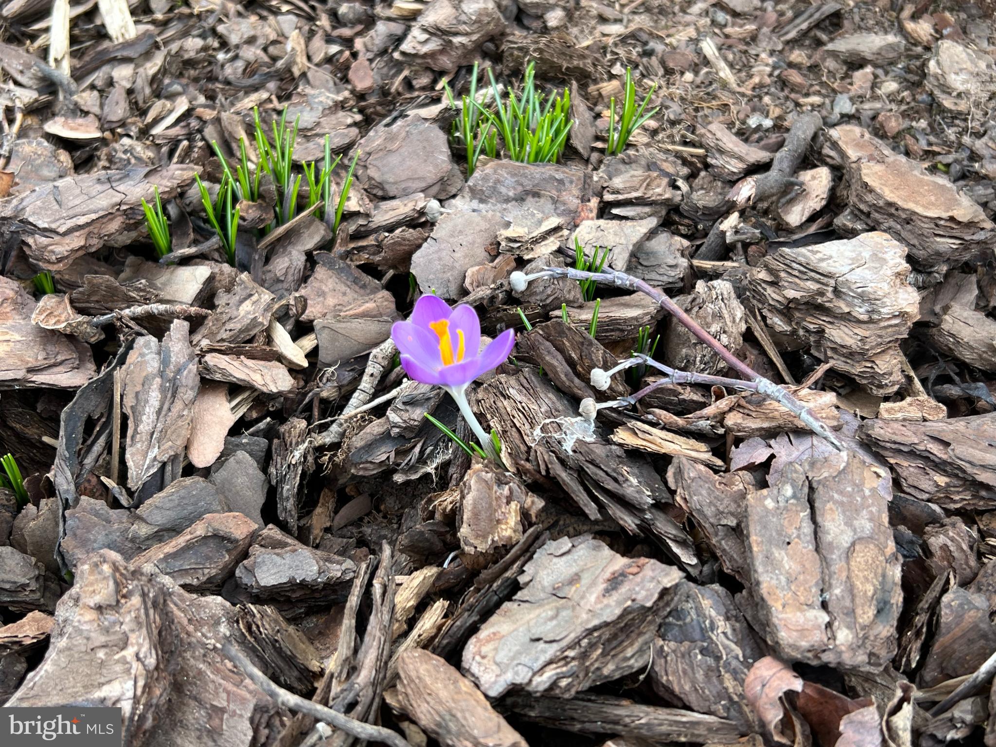 SINGLETONS GROVE - Residential