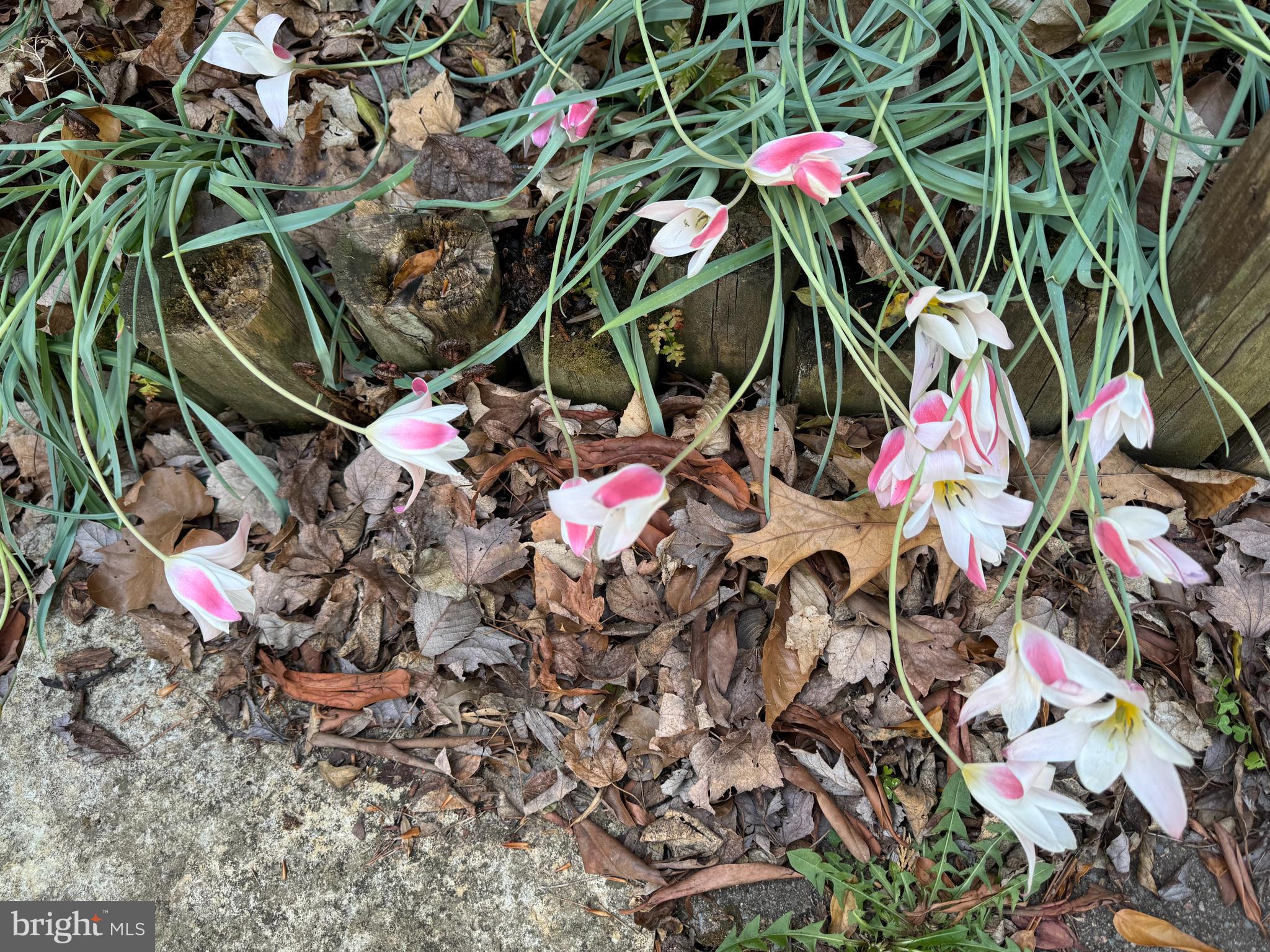 SINGLETONS GROVE - Residential