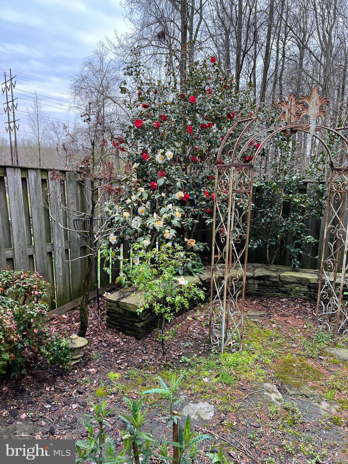 SINGLETONS GROVE - Residential