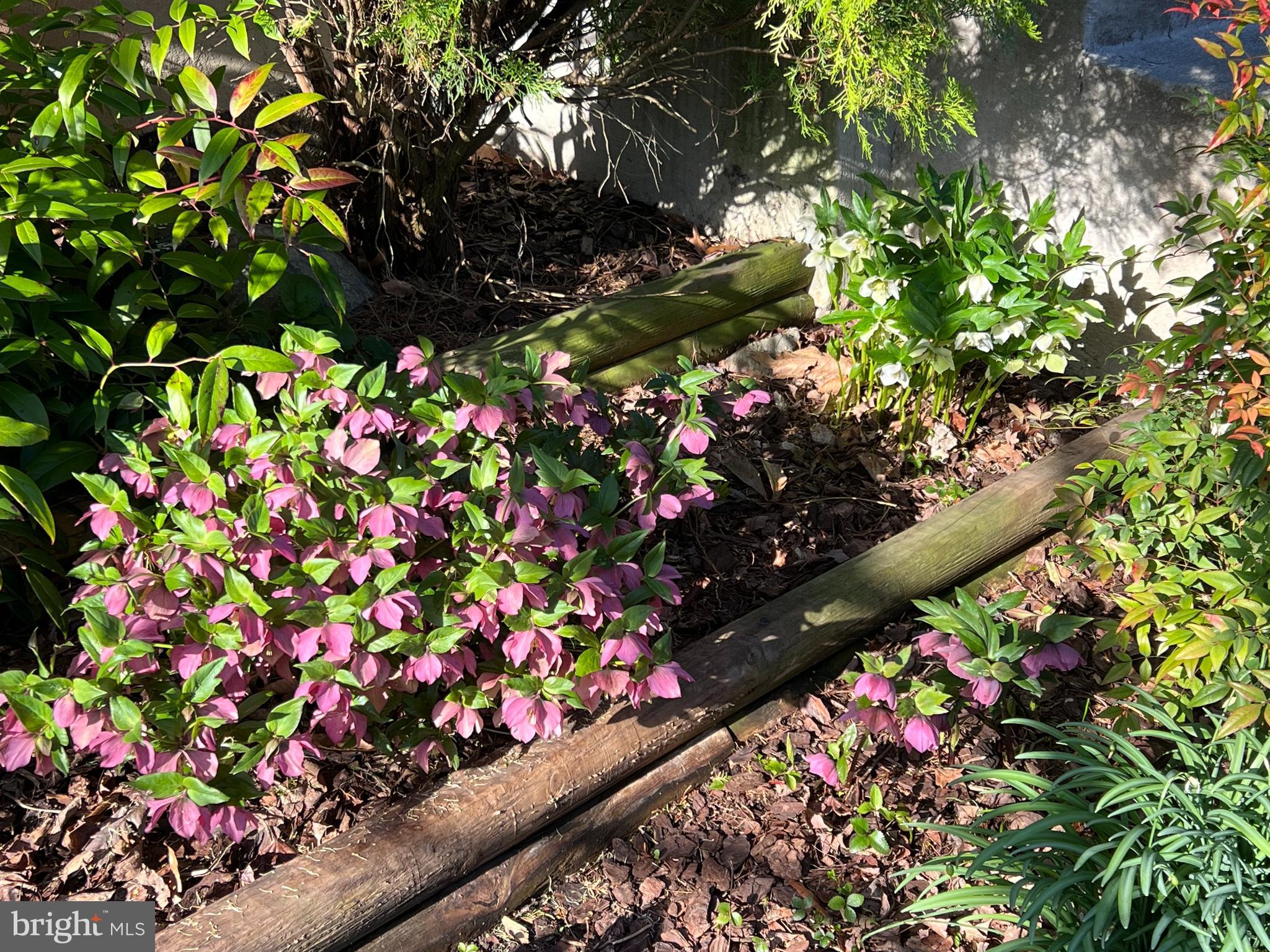 SINGLETONS GROVE - Residential