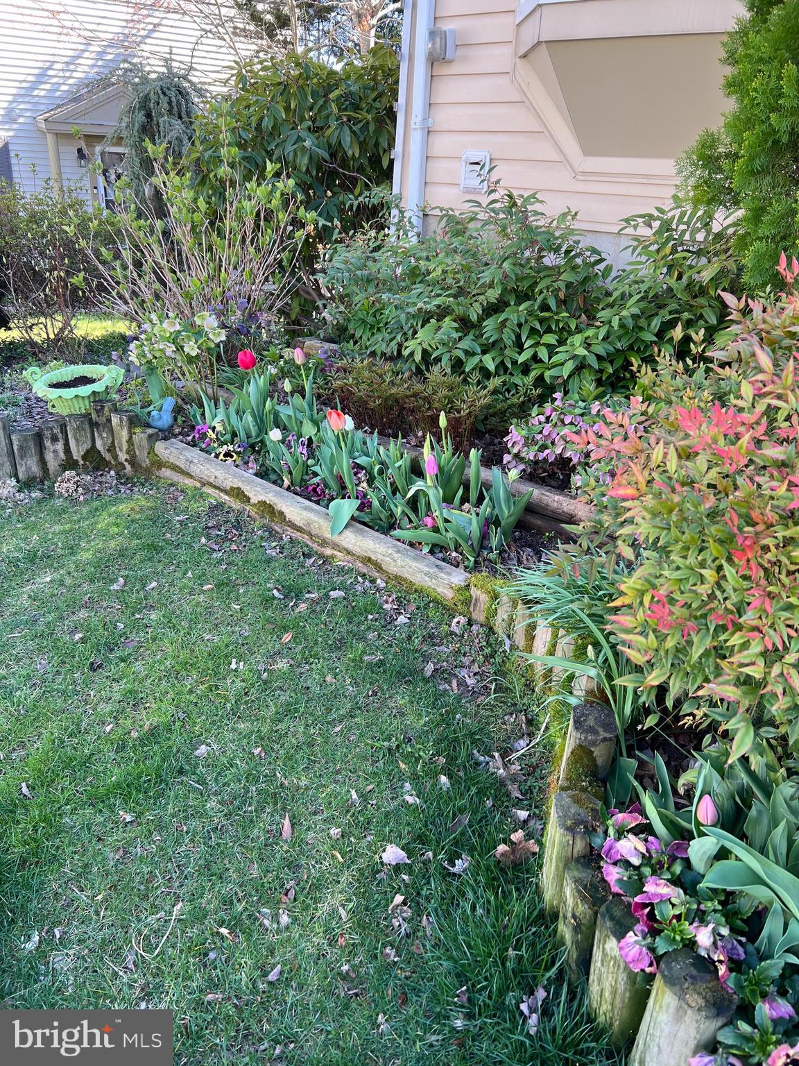 SINGLETONS GROVE - Residential