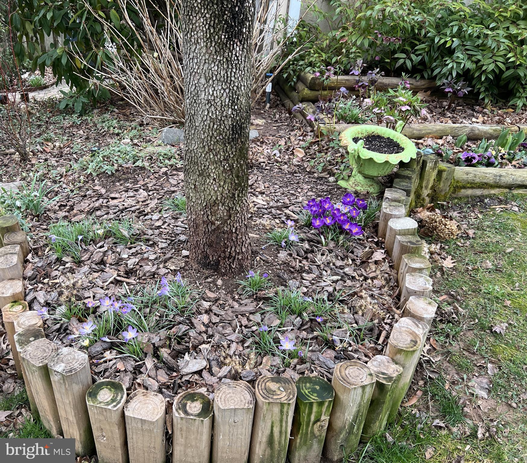 SINGLETONS GROVE - Residential