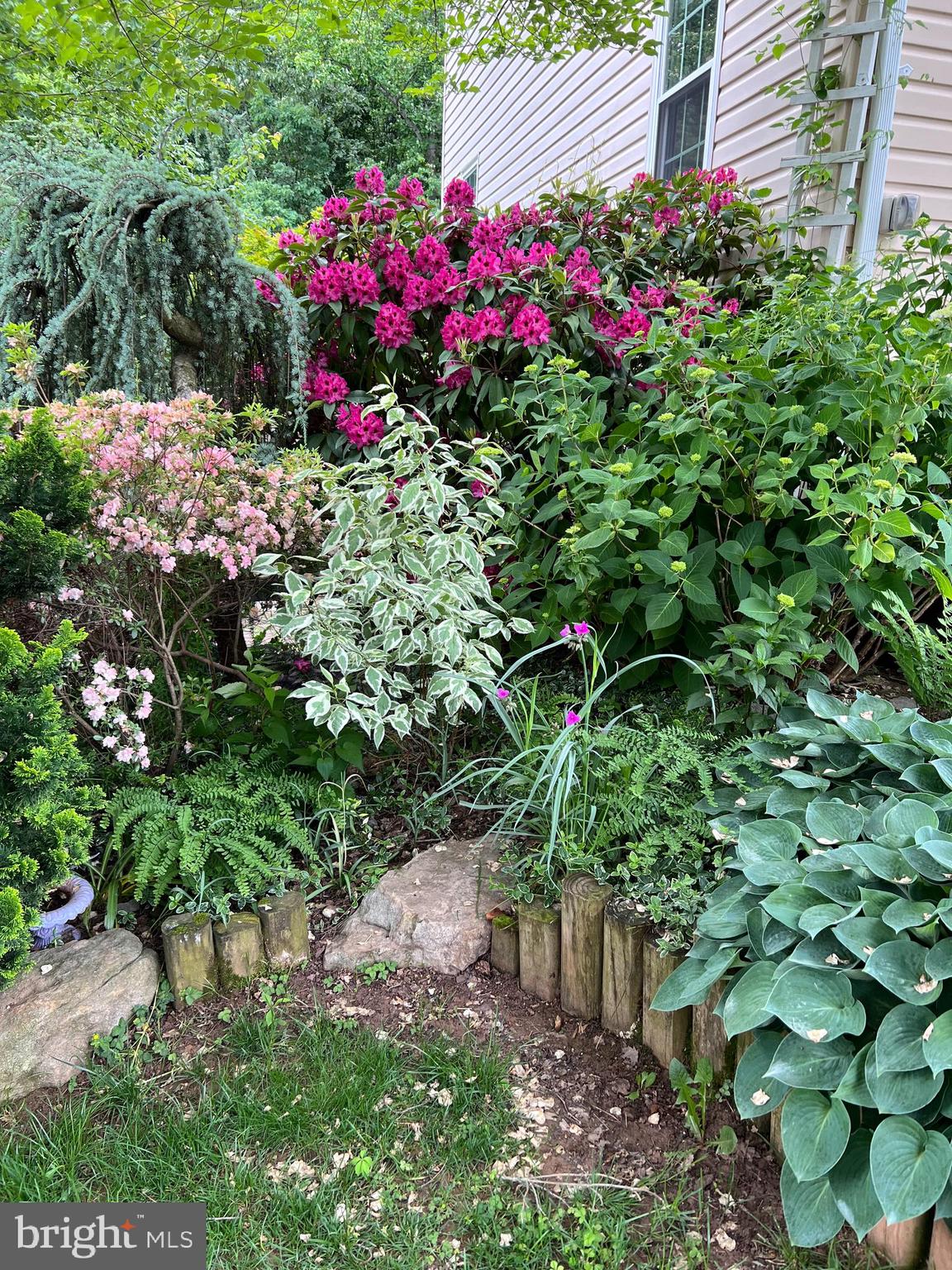 SINGLETONS GROVE - Residential