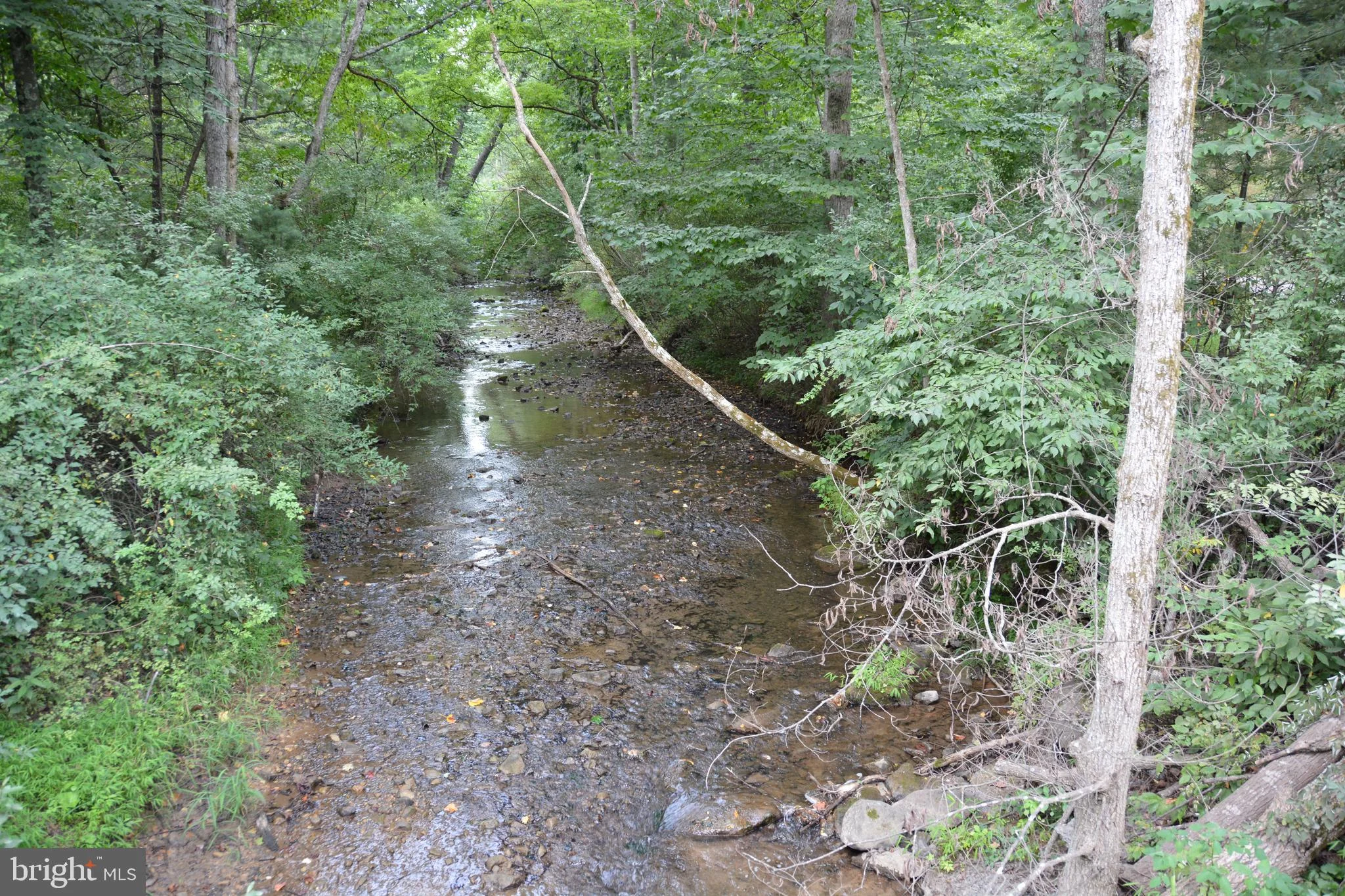 Sec.1 Lot 9 Swift Lane, Capon Bridge, WV 26711