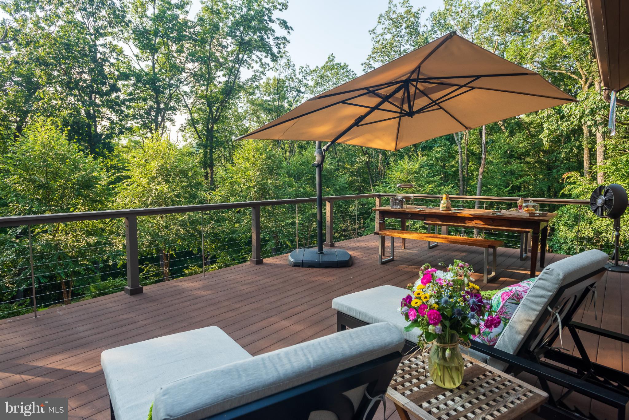 TEXTER MOUNTAIN - Residential