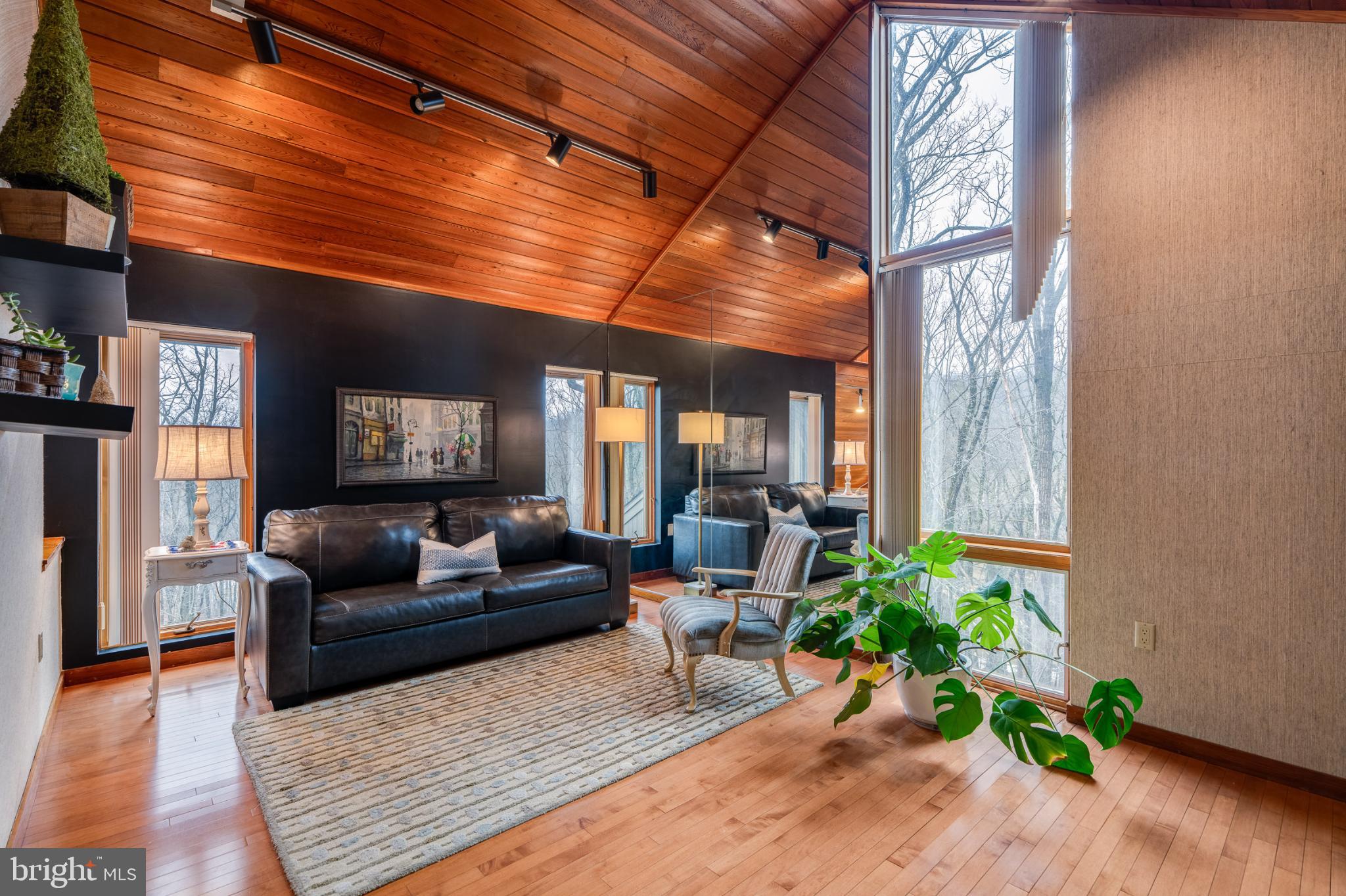 TEXTER MOUNTAIN - Residential