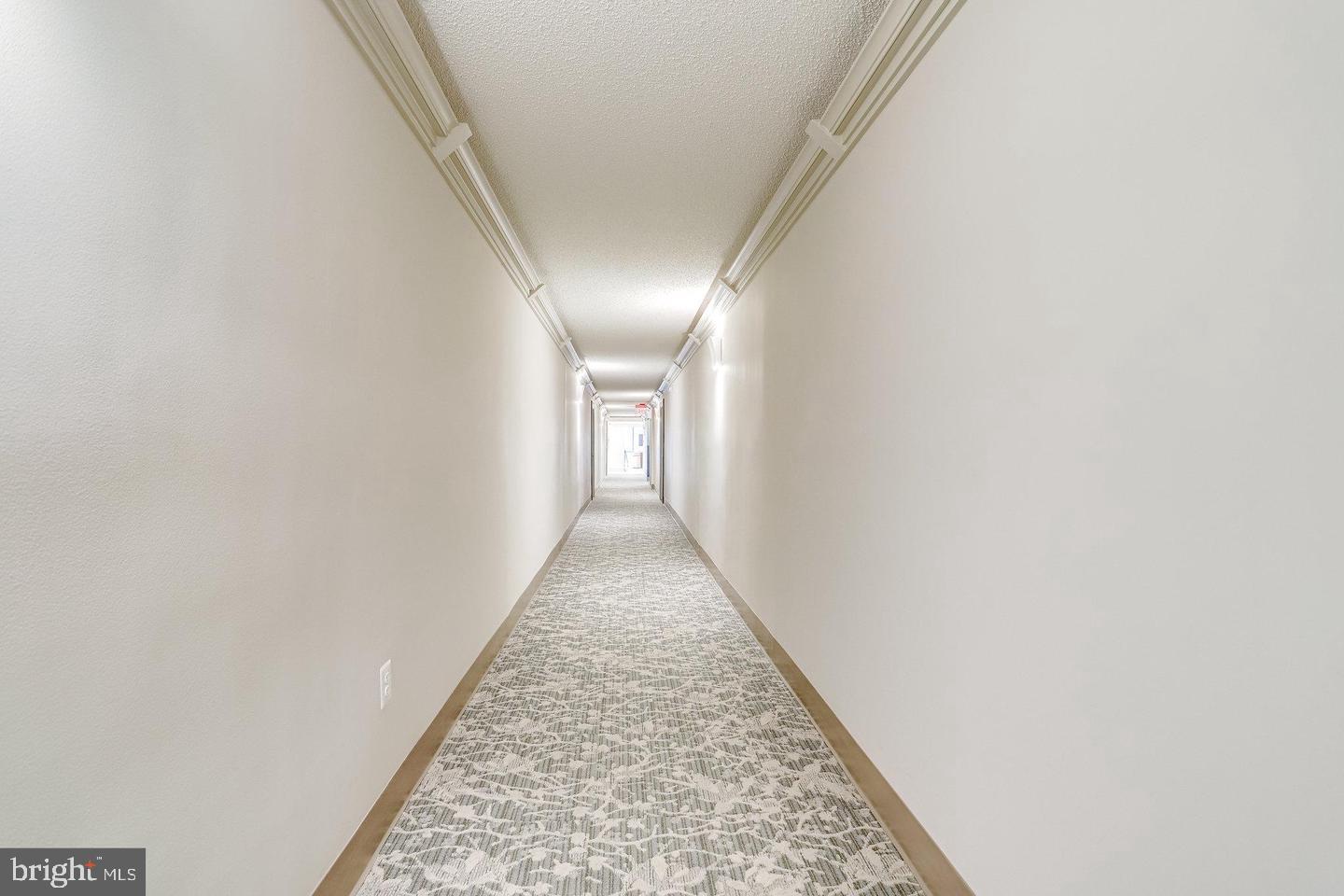 2300 PIMMIT DRIVE 102