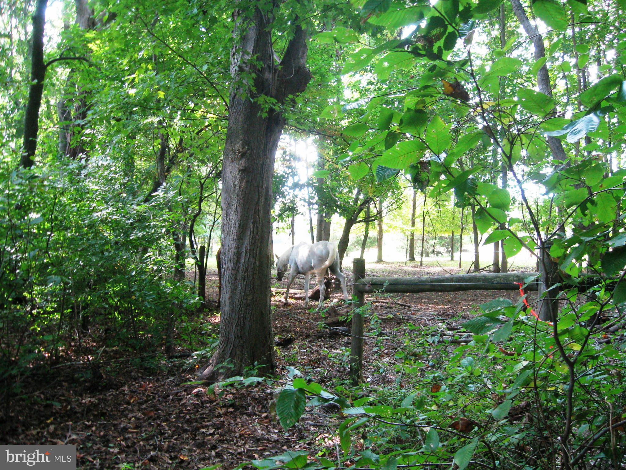 CHRISTINE MANOR - Residential