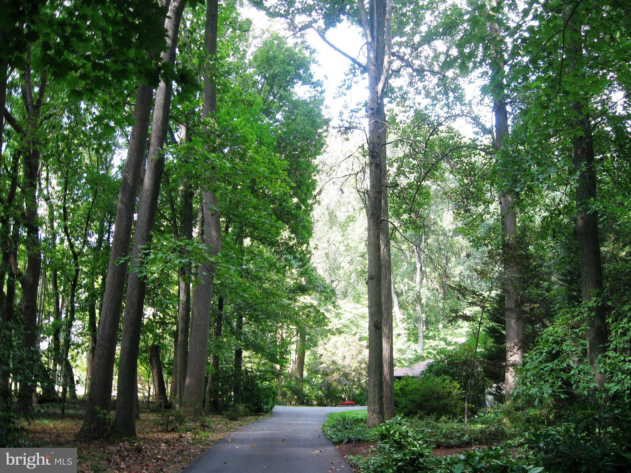 CHRISTINE MANOR - Residential