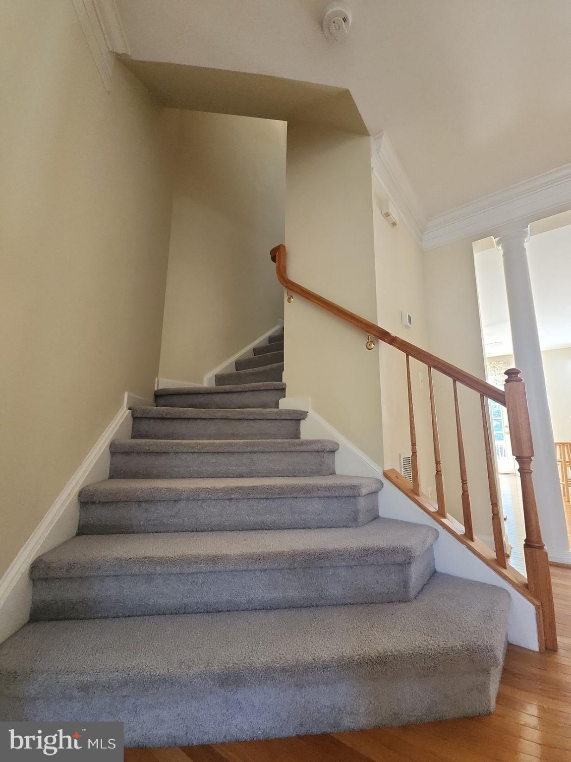 JAPONICA - Residential Lease