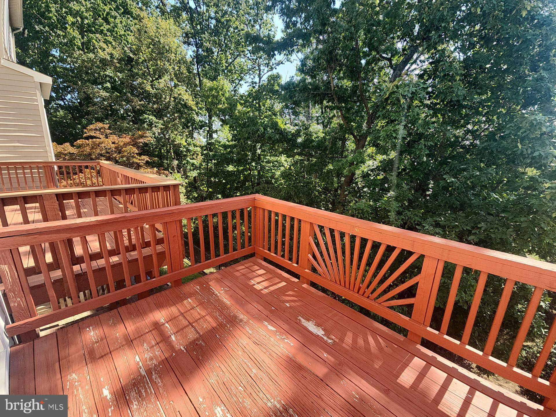 JAPONICA - Residential Lease