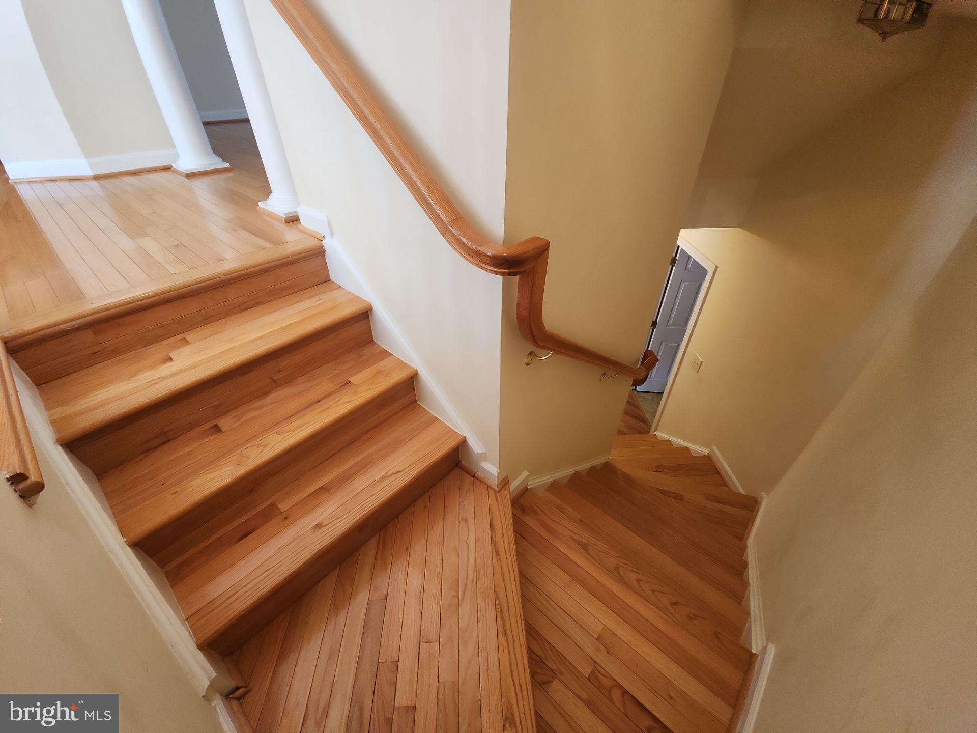 JAPONICA - Residential Lease