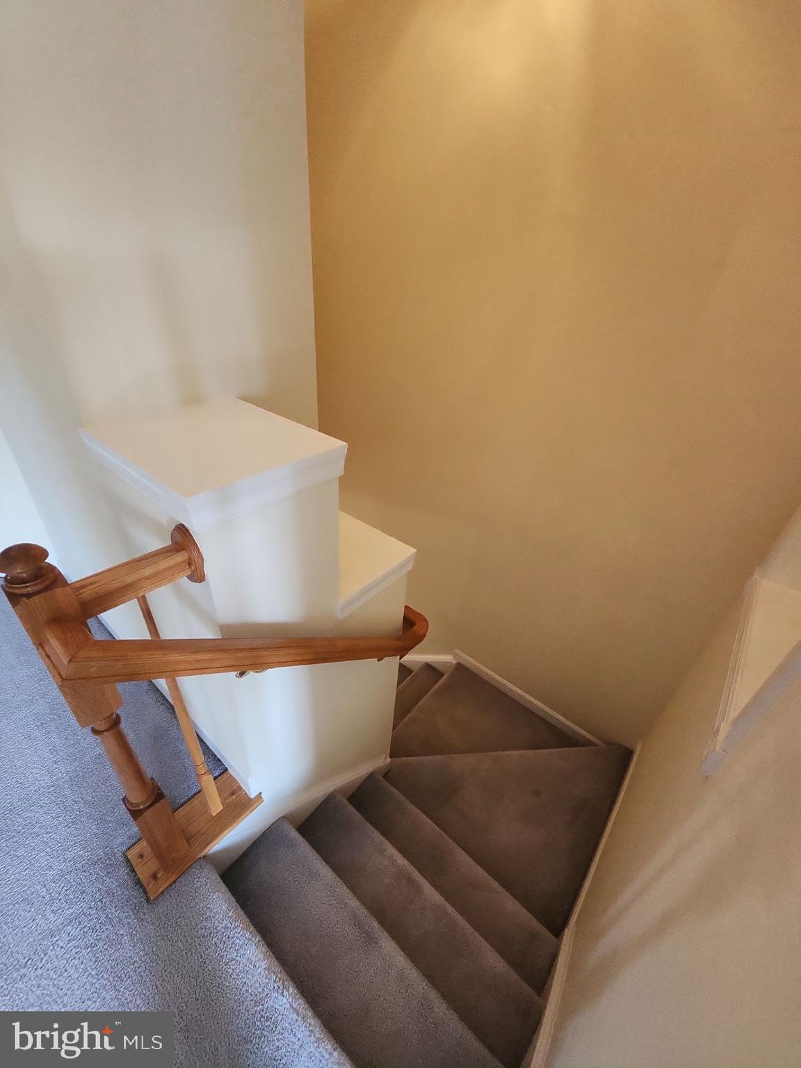 JAPONICA - Residential Lease