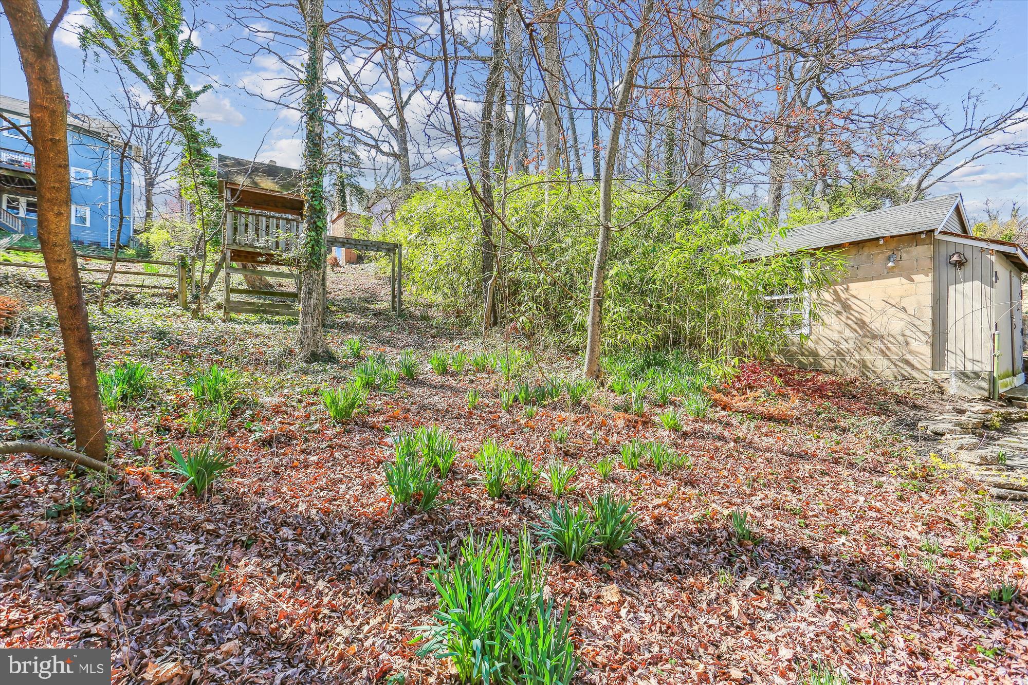 TAKOMA PARK - Residential