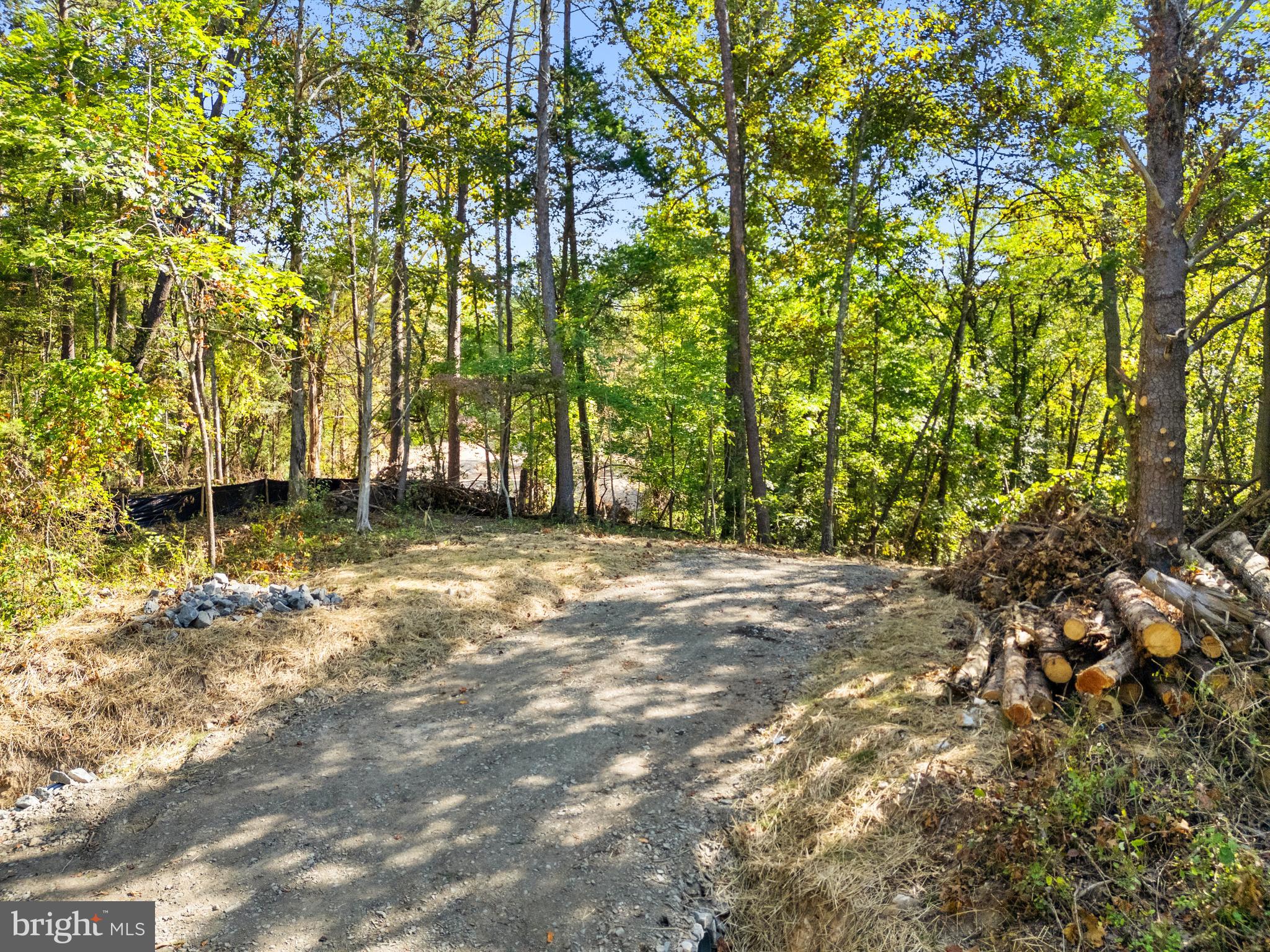 Vacant Land CABIN BRANCH ROAD