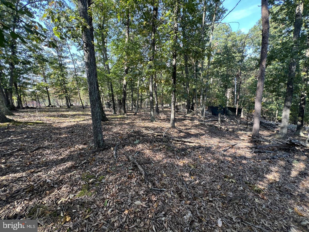 OLD MOUNTAIN RUN - Residential