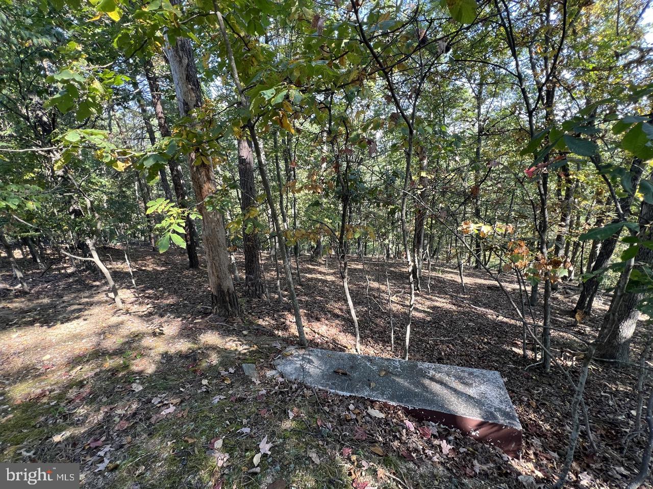 OLD MOUNTAIN RUN - Residential