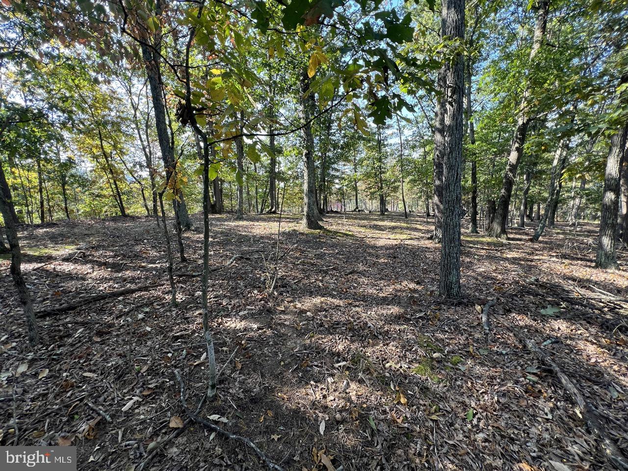 OLD MOUNTAIN RUN - Residential