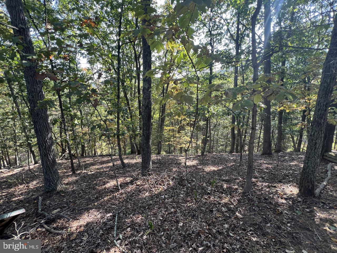 OLD MOUNTAIN RUN - Residential