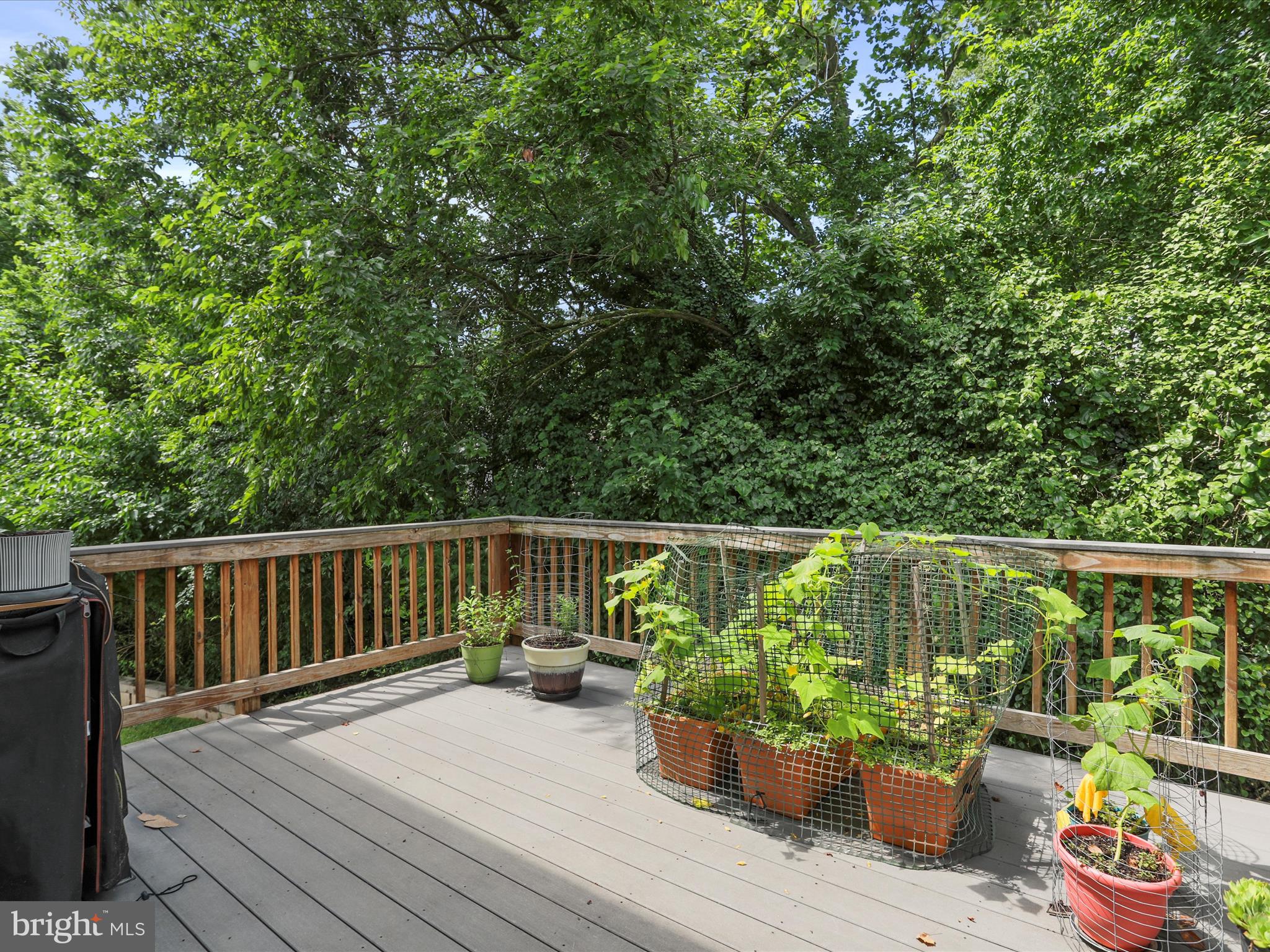 ASHLAND VILLAGE - Residential