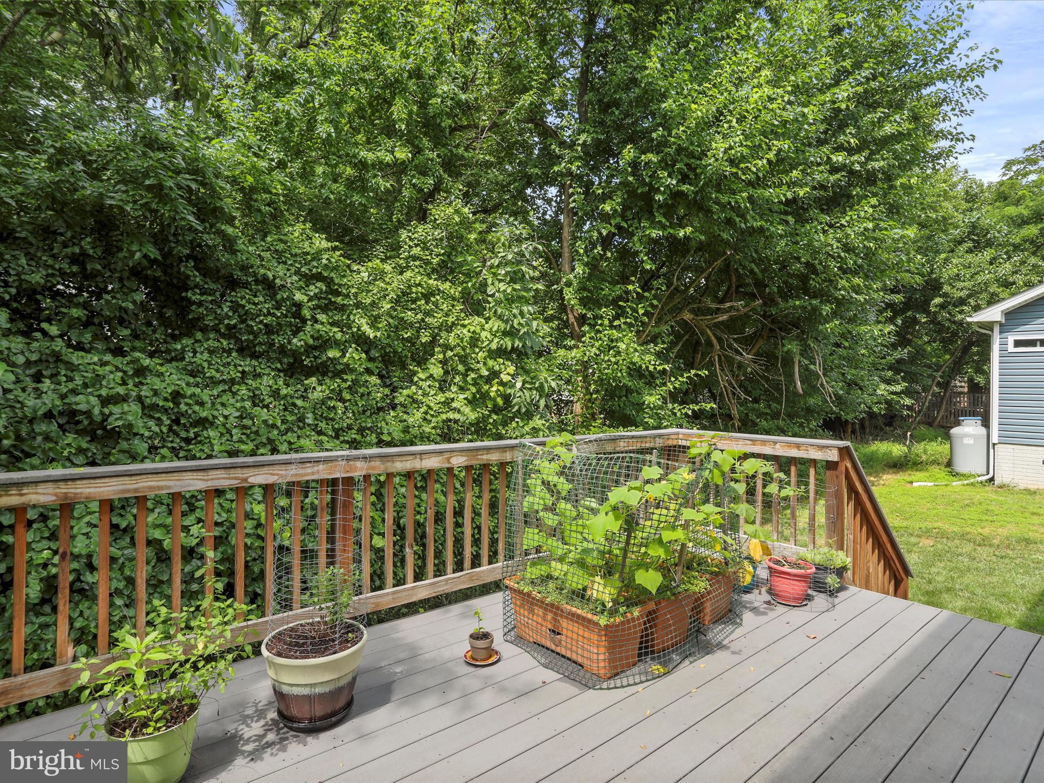 ASHLAND VILLAGE - Residential