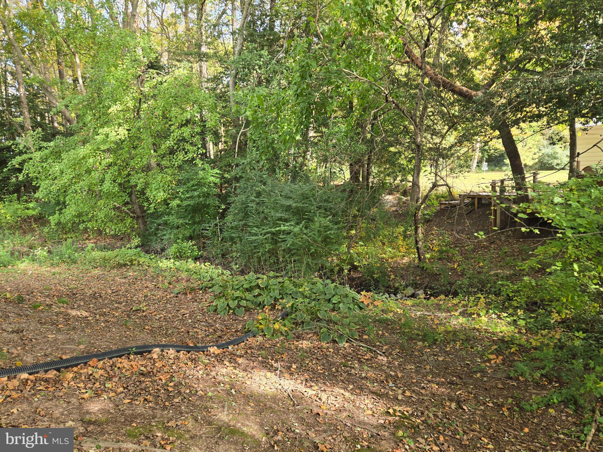 DUTCH ACRES - Residential