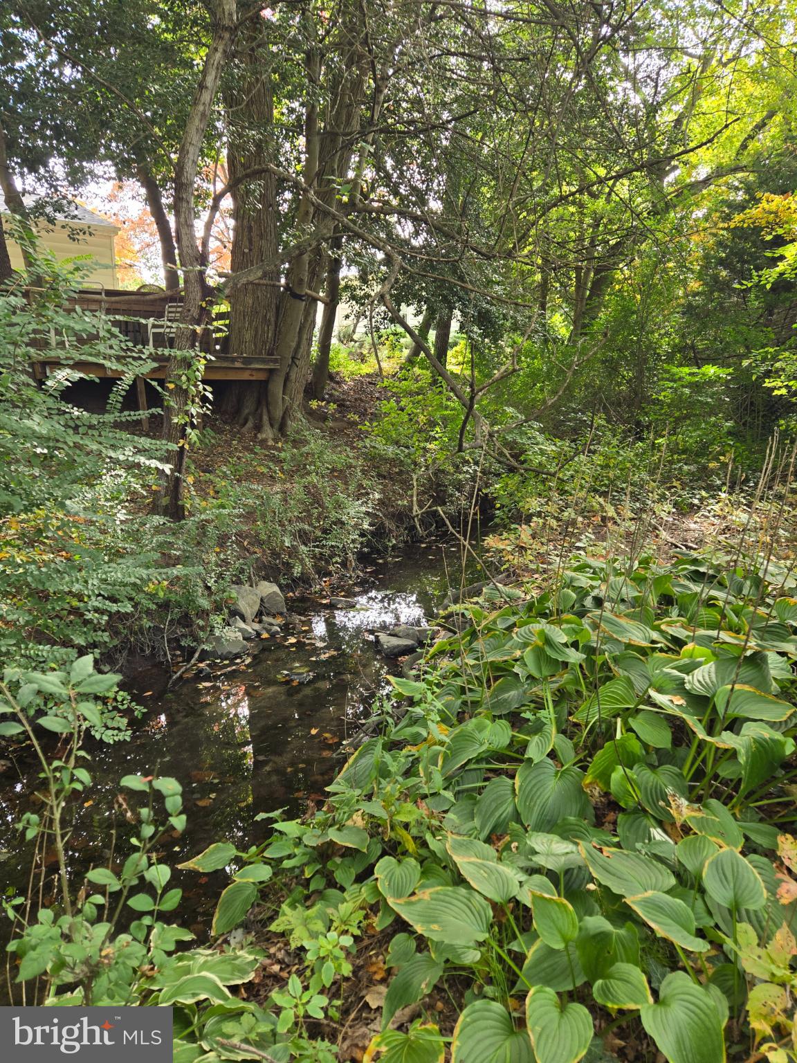 DUTCH ACRES - Residential