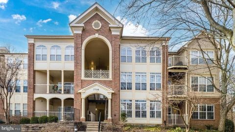 7706 HAYNES POINT WAY D ALEXANDRIA VA 22315