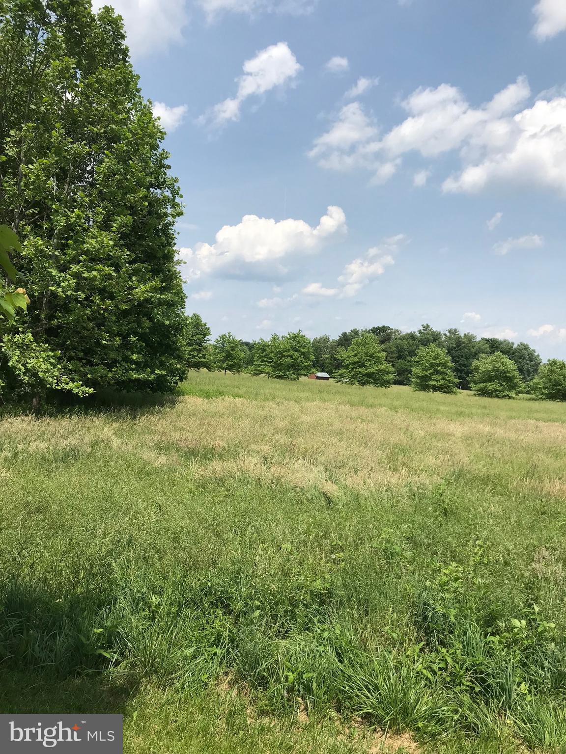 THE CHASE AT STONEY BROOK - Land