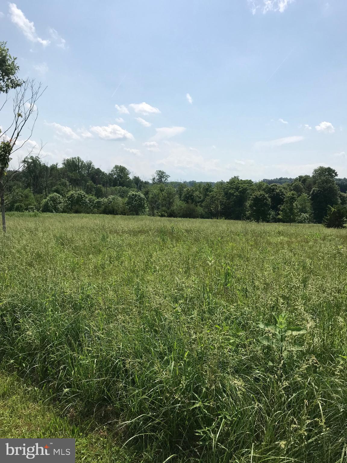 THE CHASE AT STONEY BROOK - Land