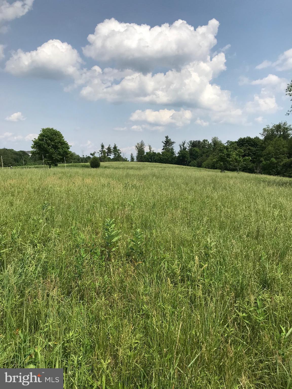 THE CHASE AT STONEY BROOK - Land