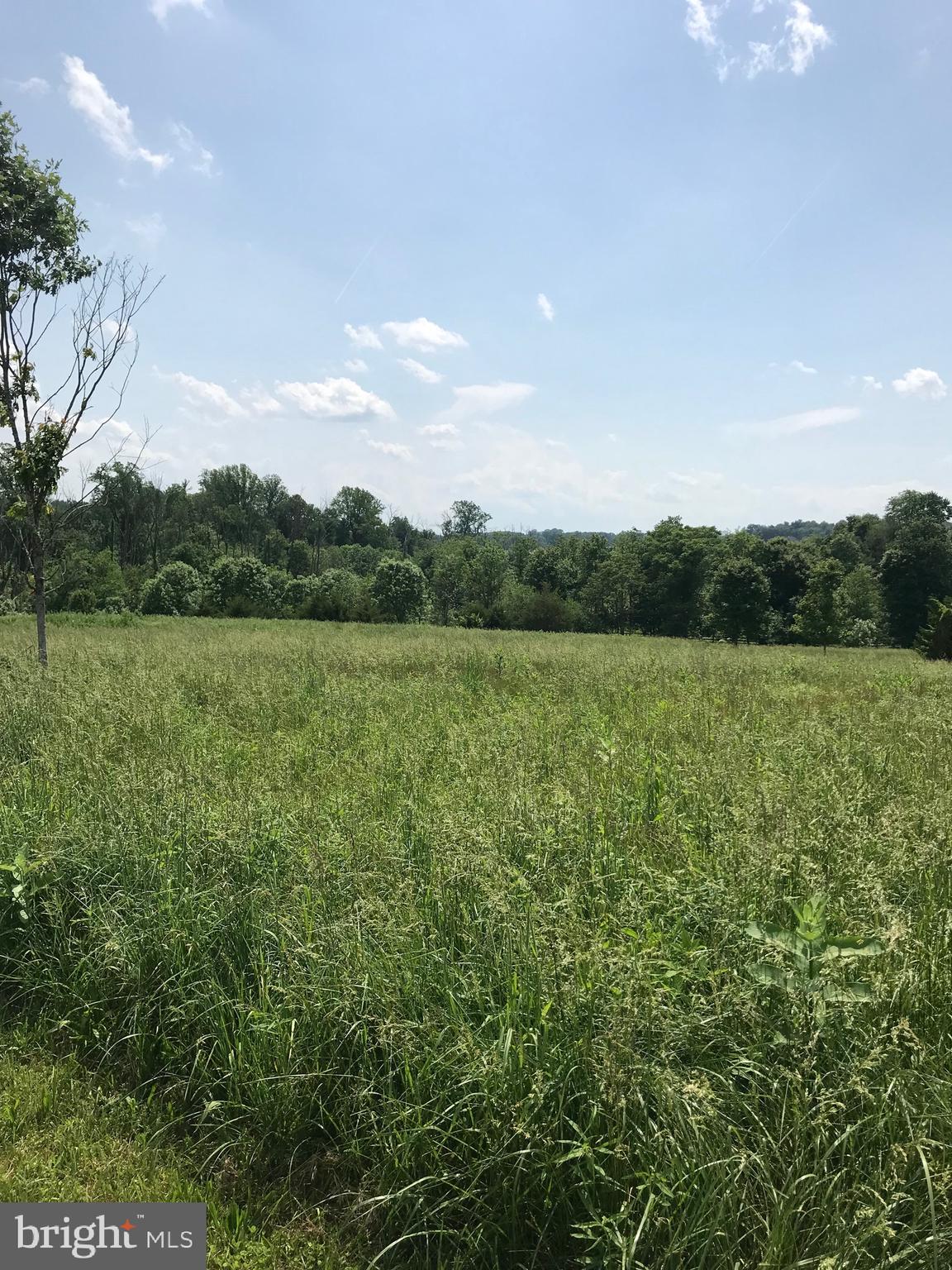 THE CHASE AT STONEY BROOK - Land