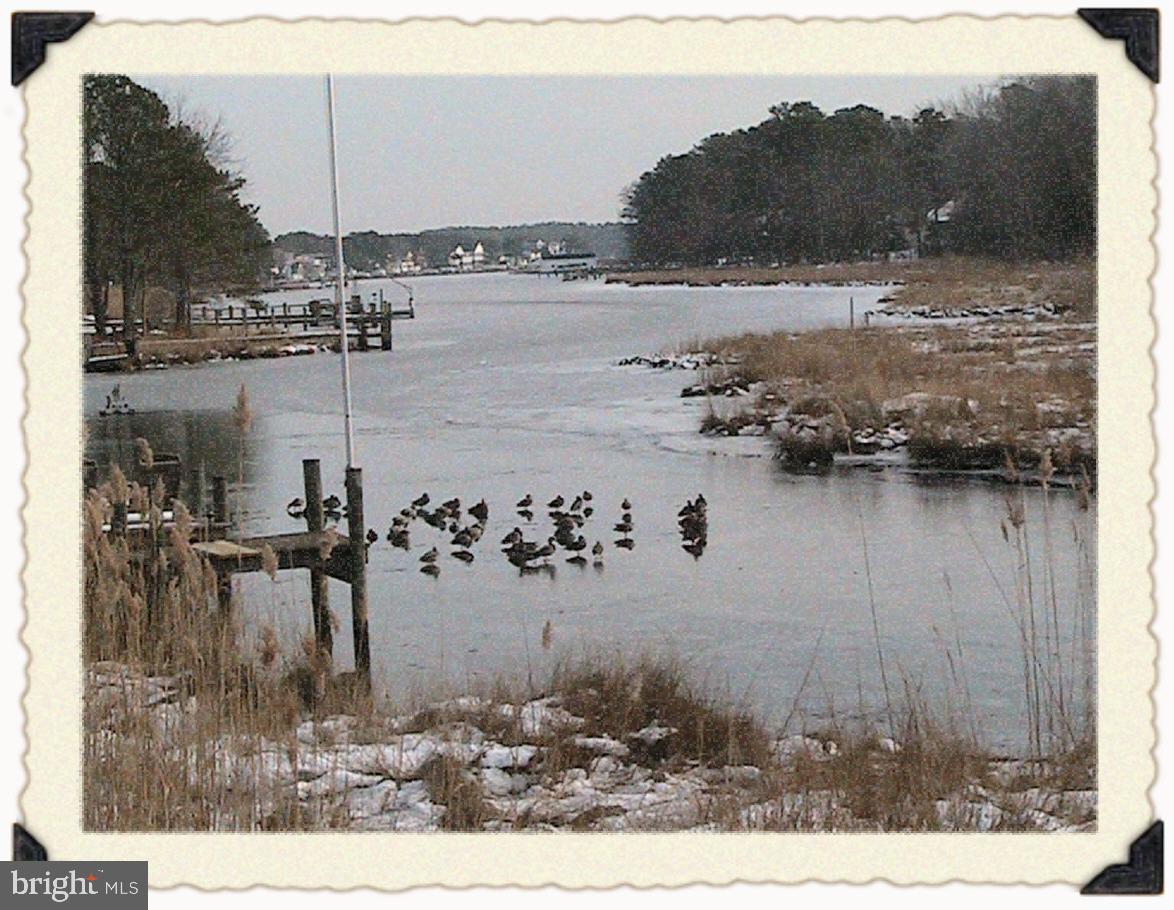 OCEAN PINES - NANTUCKET - Residential