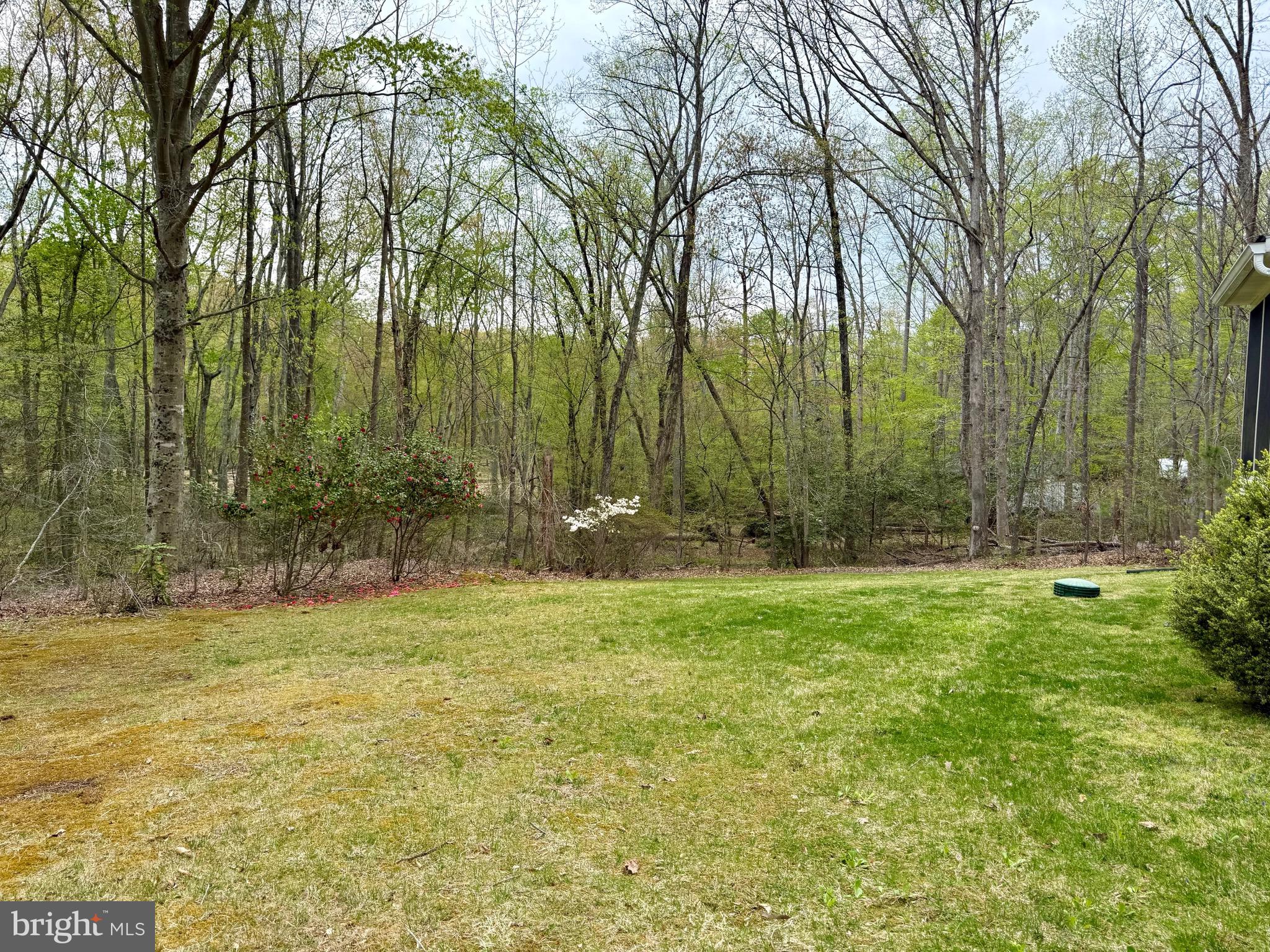 RUSTIC HILLS - Residential