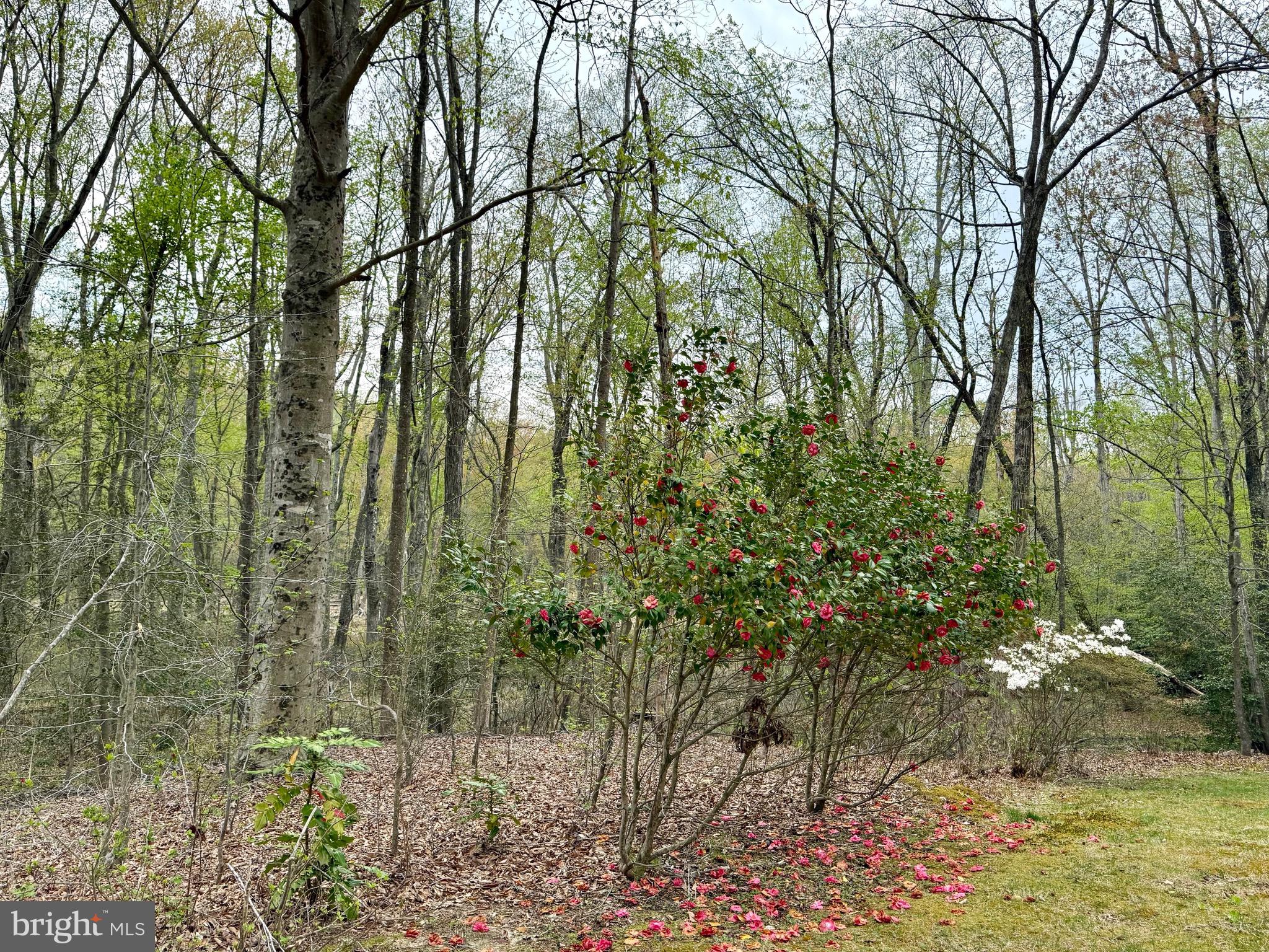 RUSTIC HILLS - Residential