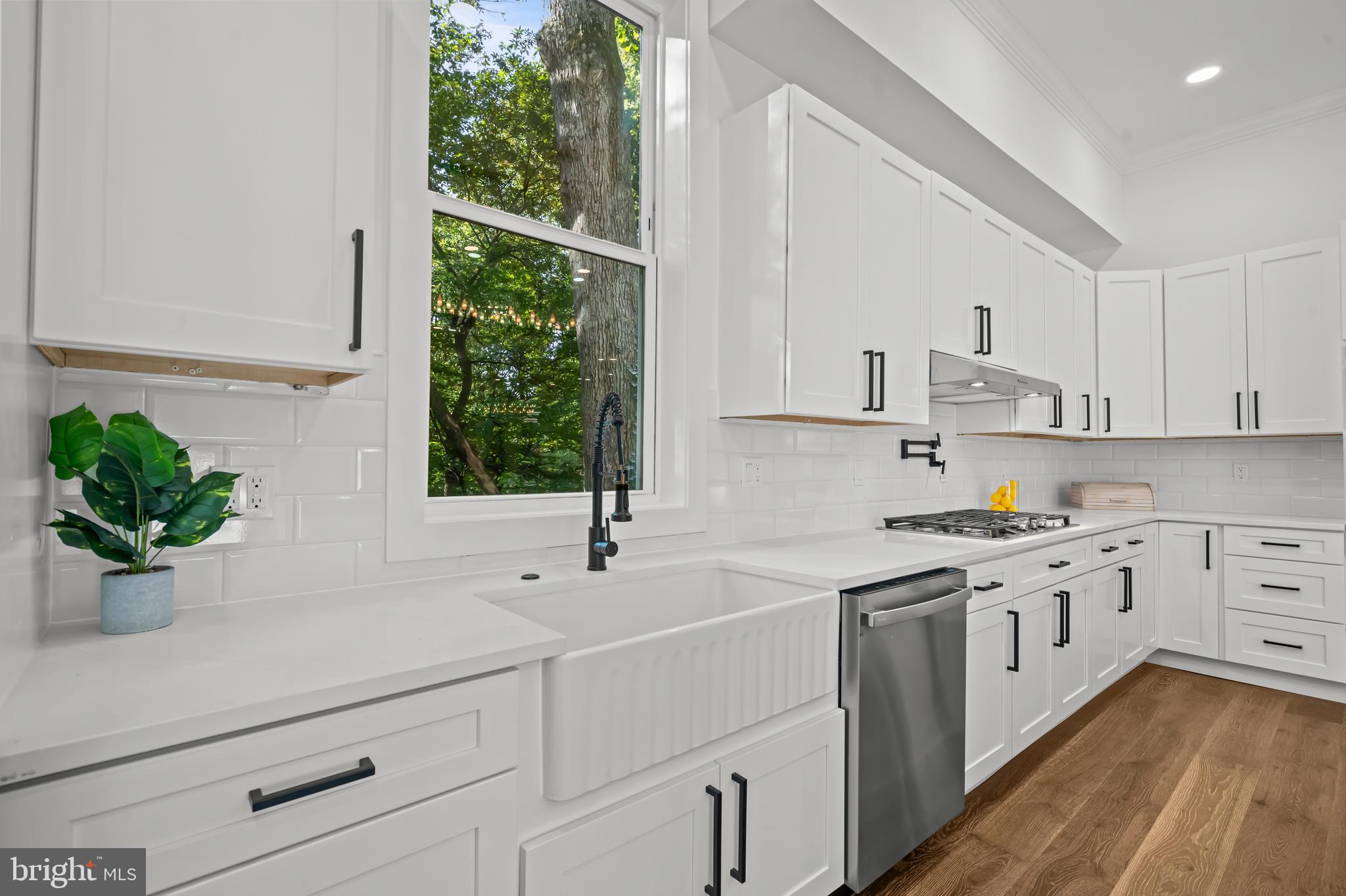 TAKOMA PARK - Residential