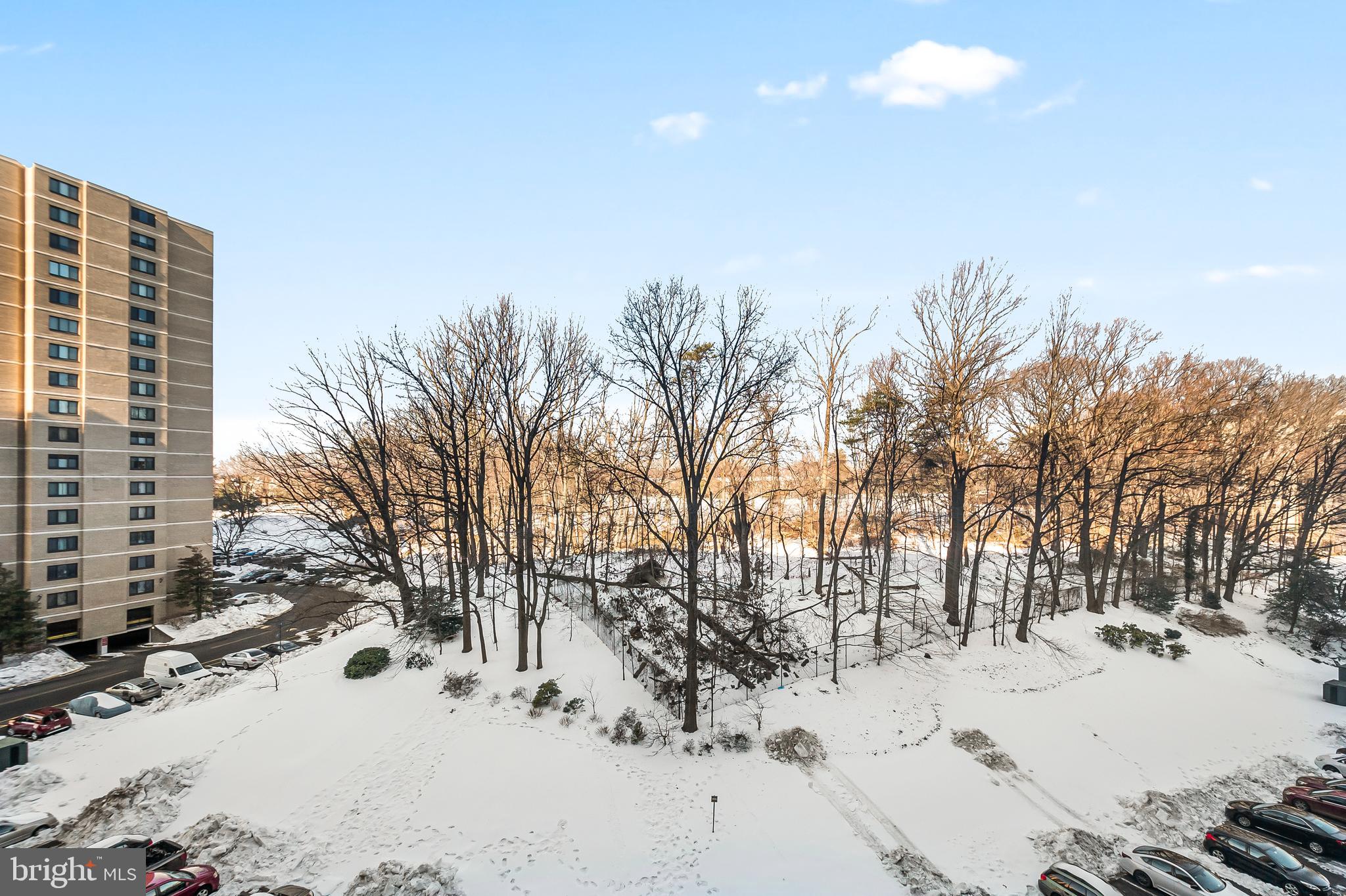 203 YOAKUM PARKWAY 715