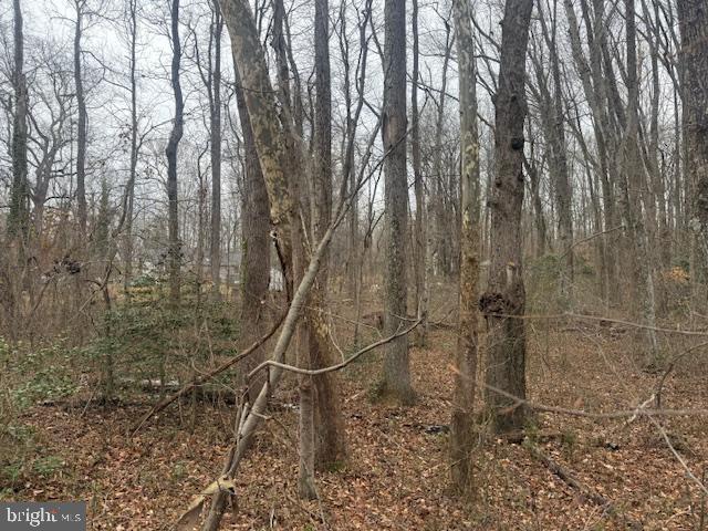 NONE AVAILABLE - Land