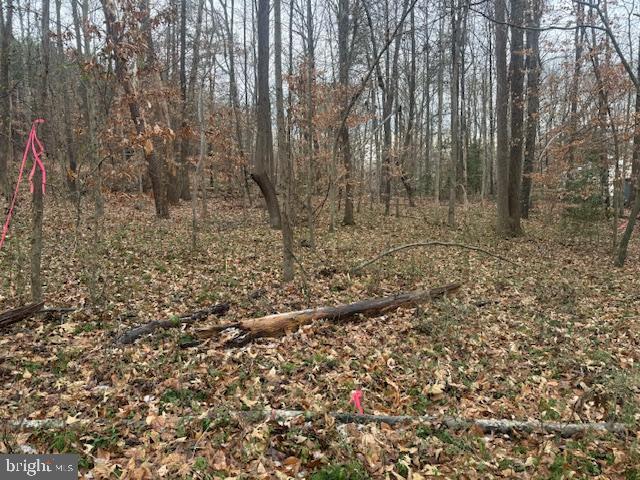 NONE AVAILABLE - Land